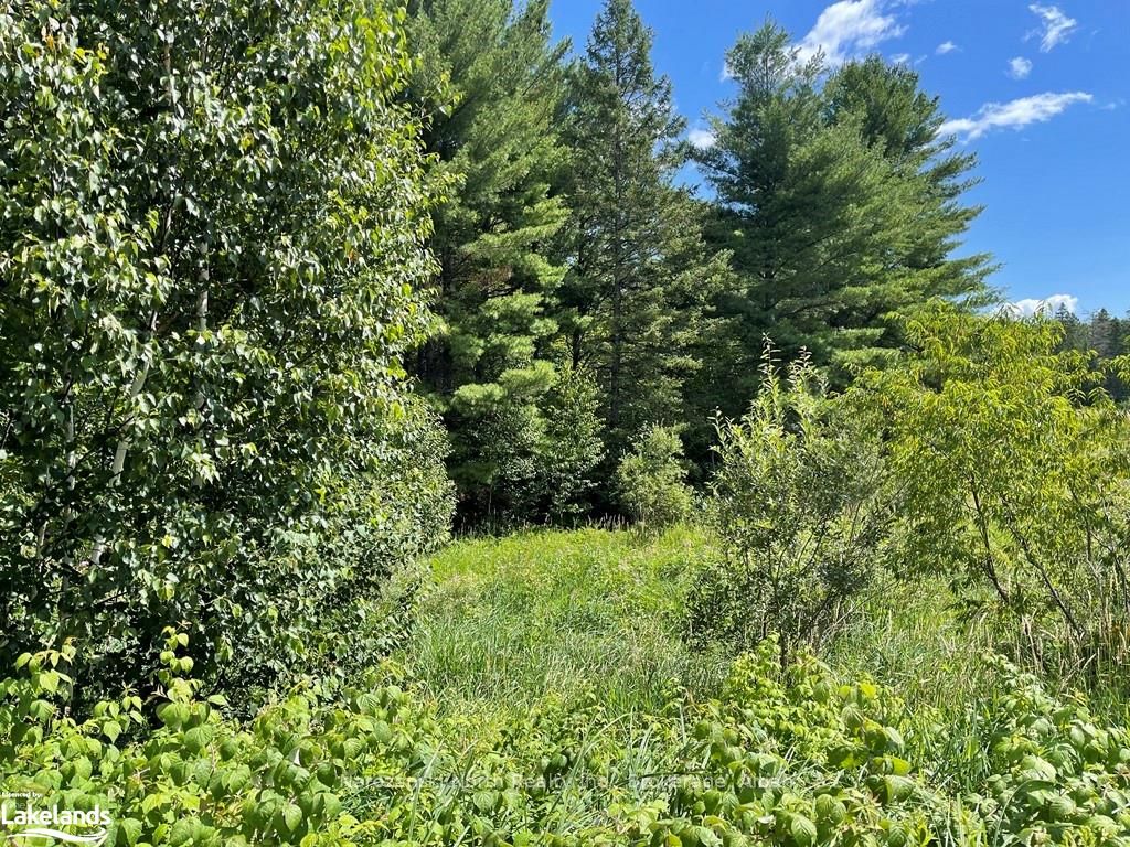 Lot 6 Riverview Drive Property Photo 2