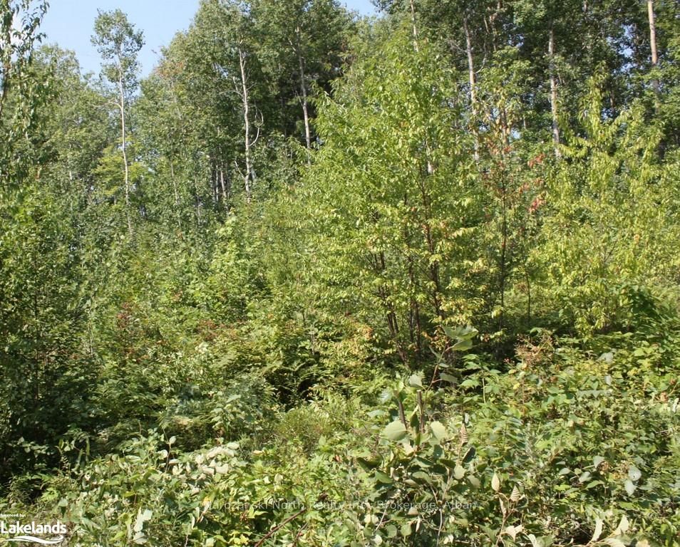 Lot 6 Riverview Drive Property Photo 4