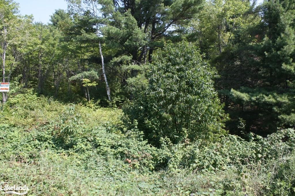 Lot 6 Riverview Drive Property Photo 5