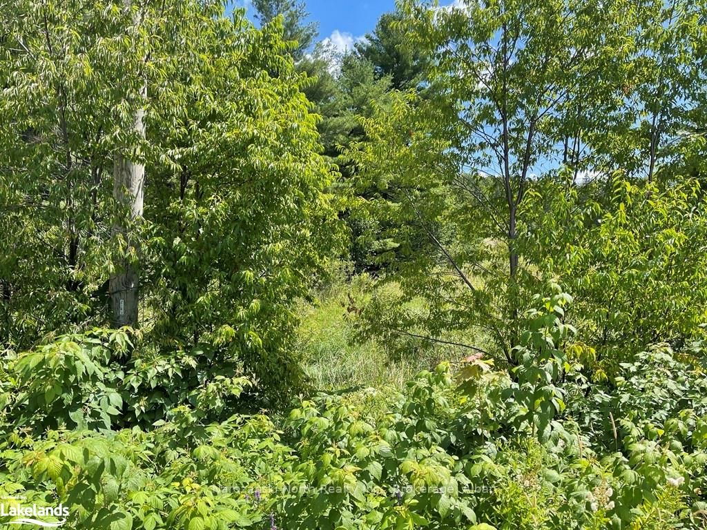 Lot 6 Riverview Drive Property Photo 6