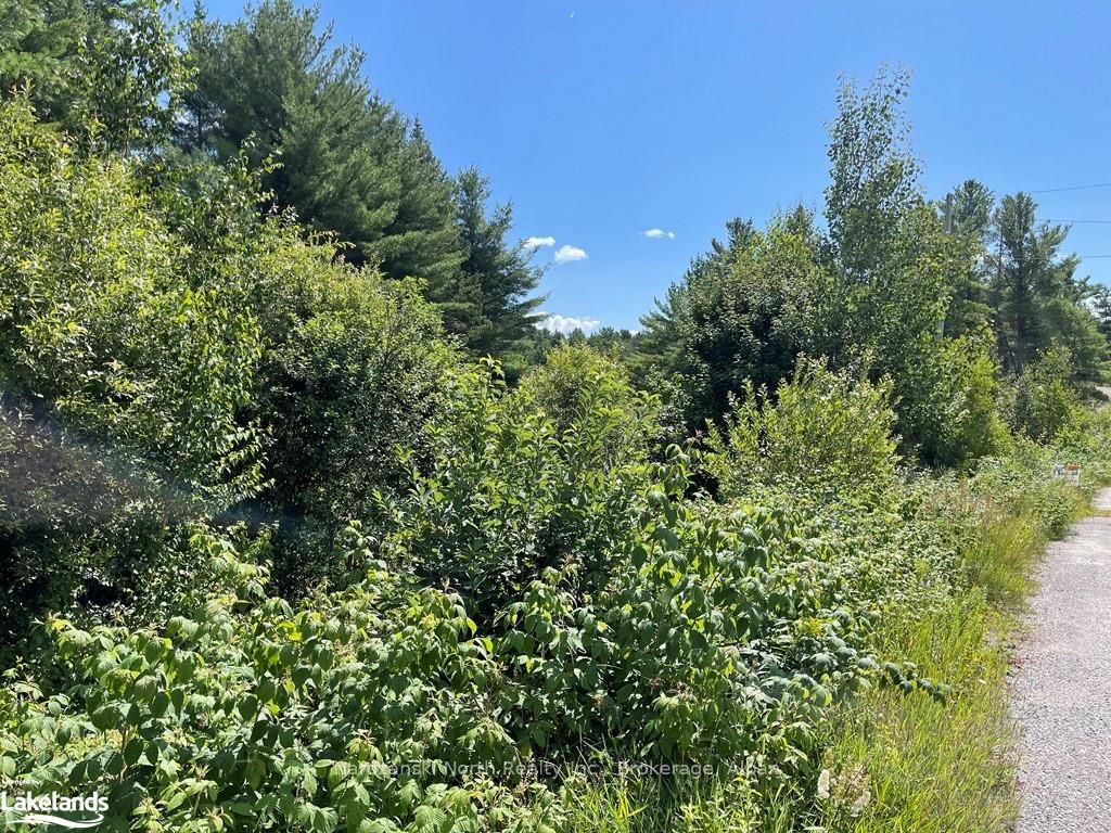 Lot 6 Riverview Drive Property Photo 7