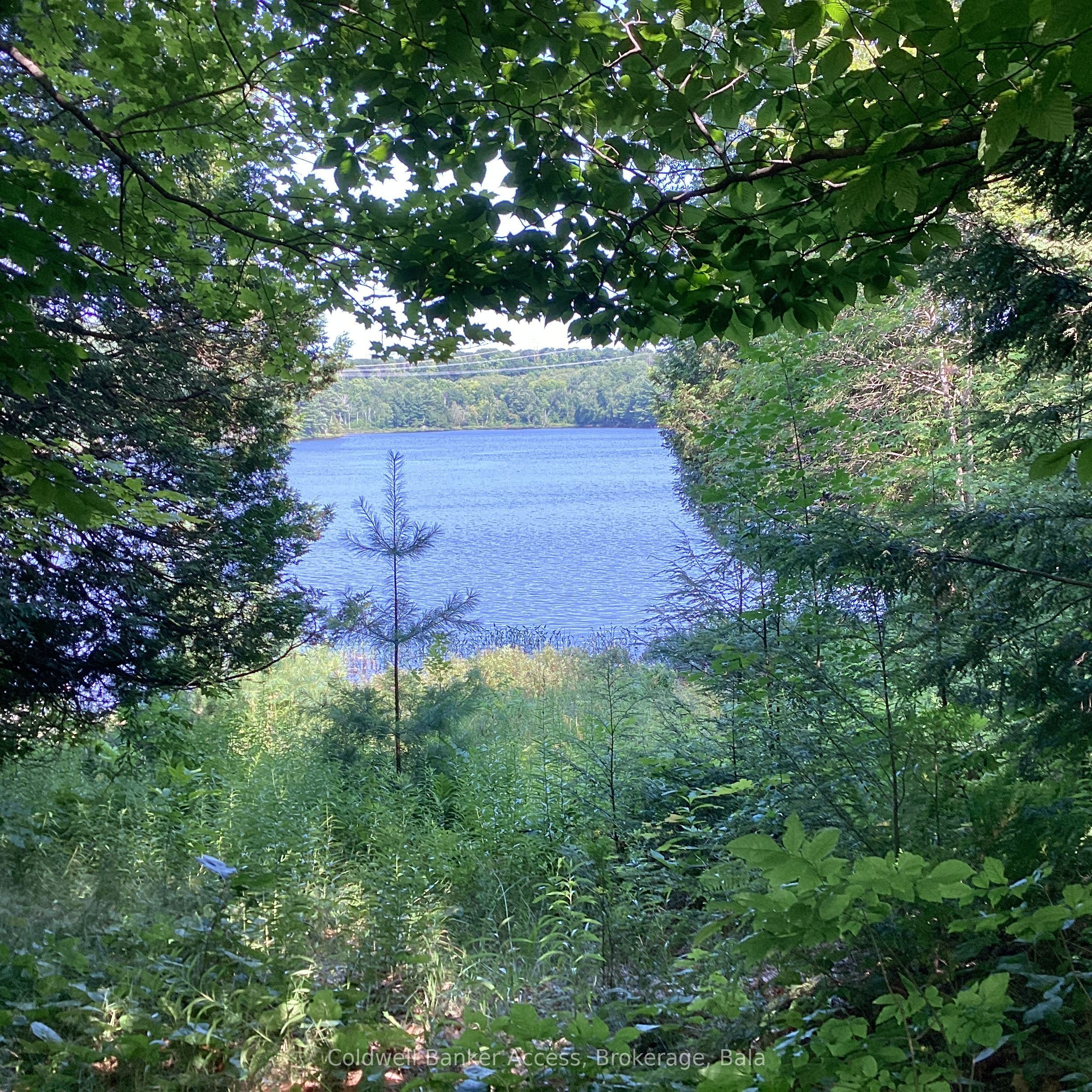153 Highway 124 N/a Property Photo