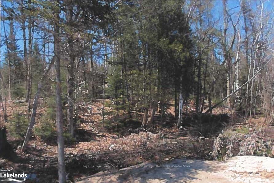 151 High Rock Drive Property Photo 4