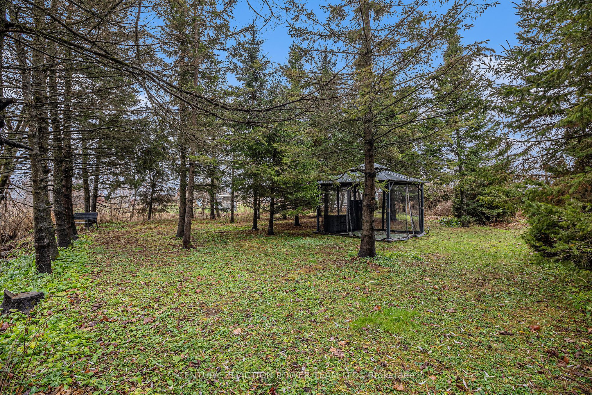 2437 Pilon Road Property Photo 33