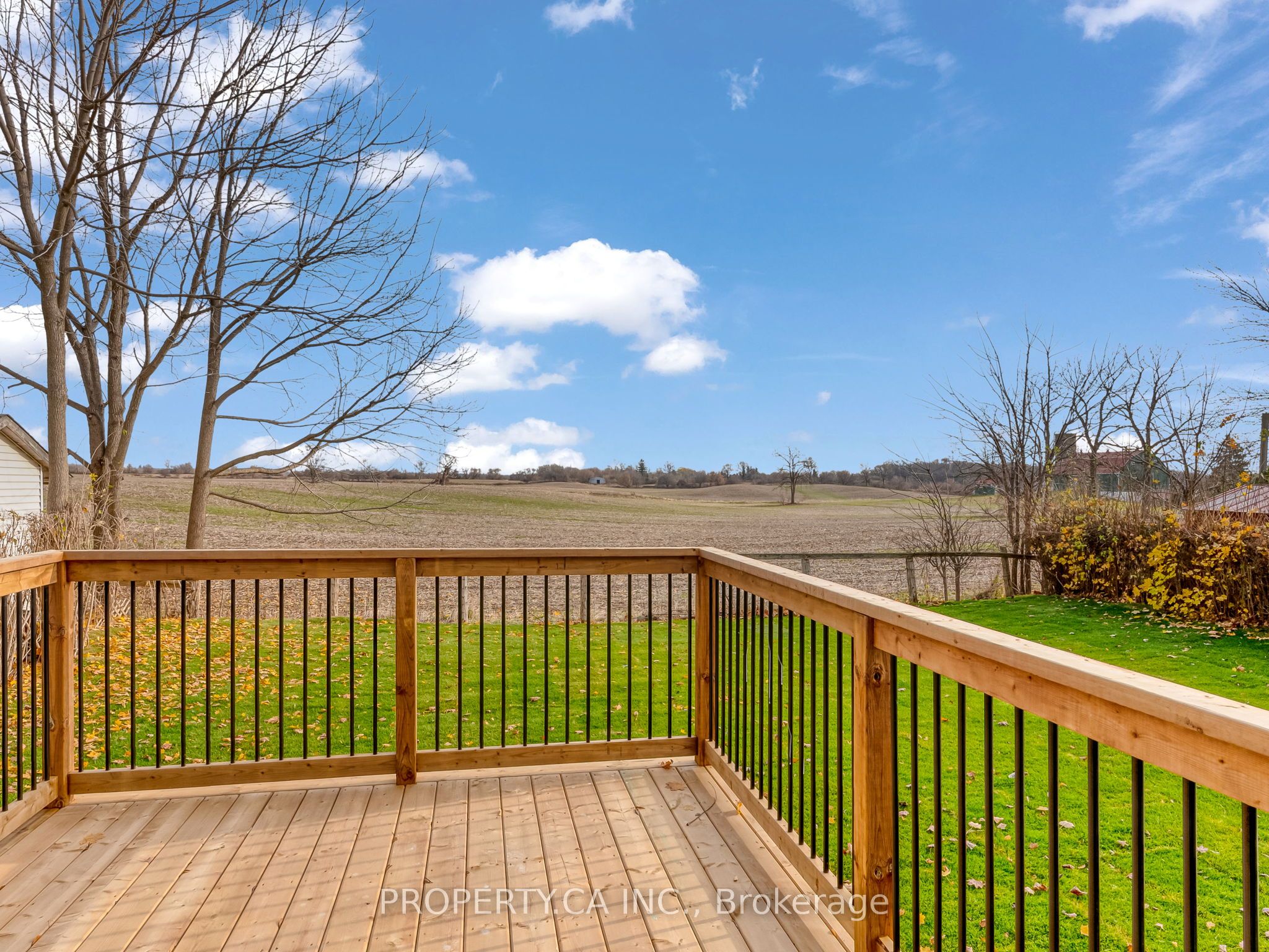 52 Fieldgate Dr Property Photo 28