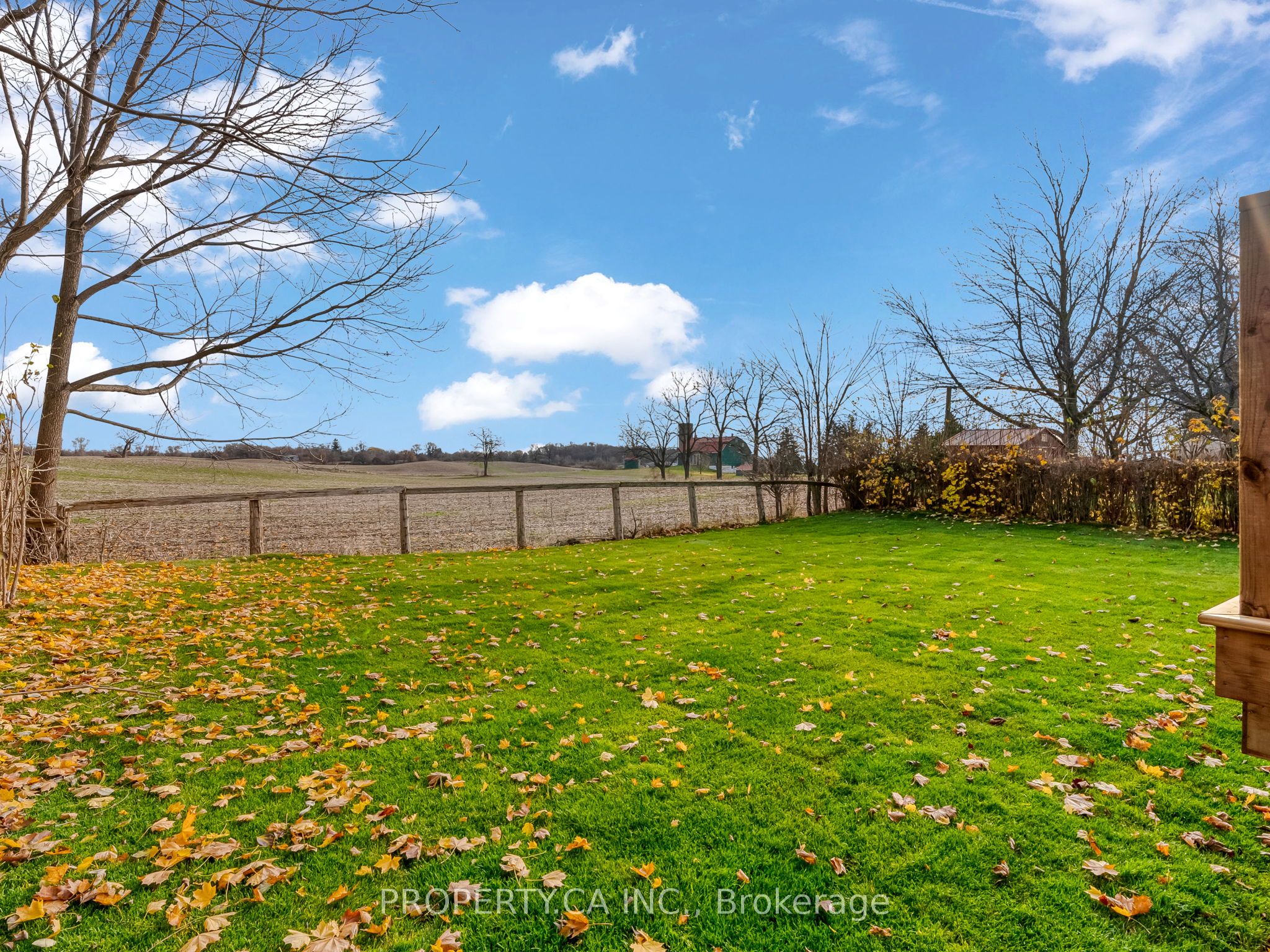 52 Fieldgate Dr Property Photo 32