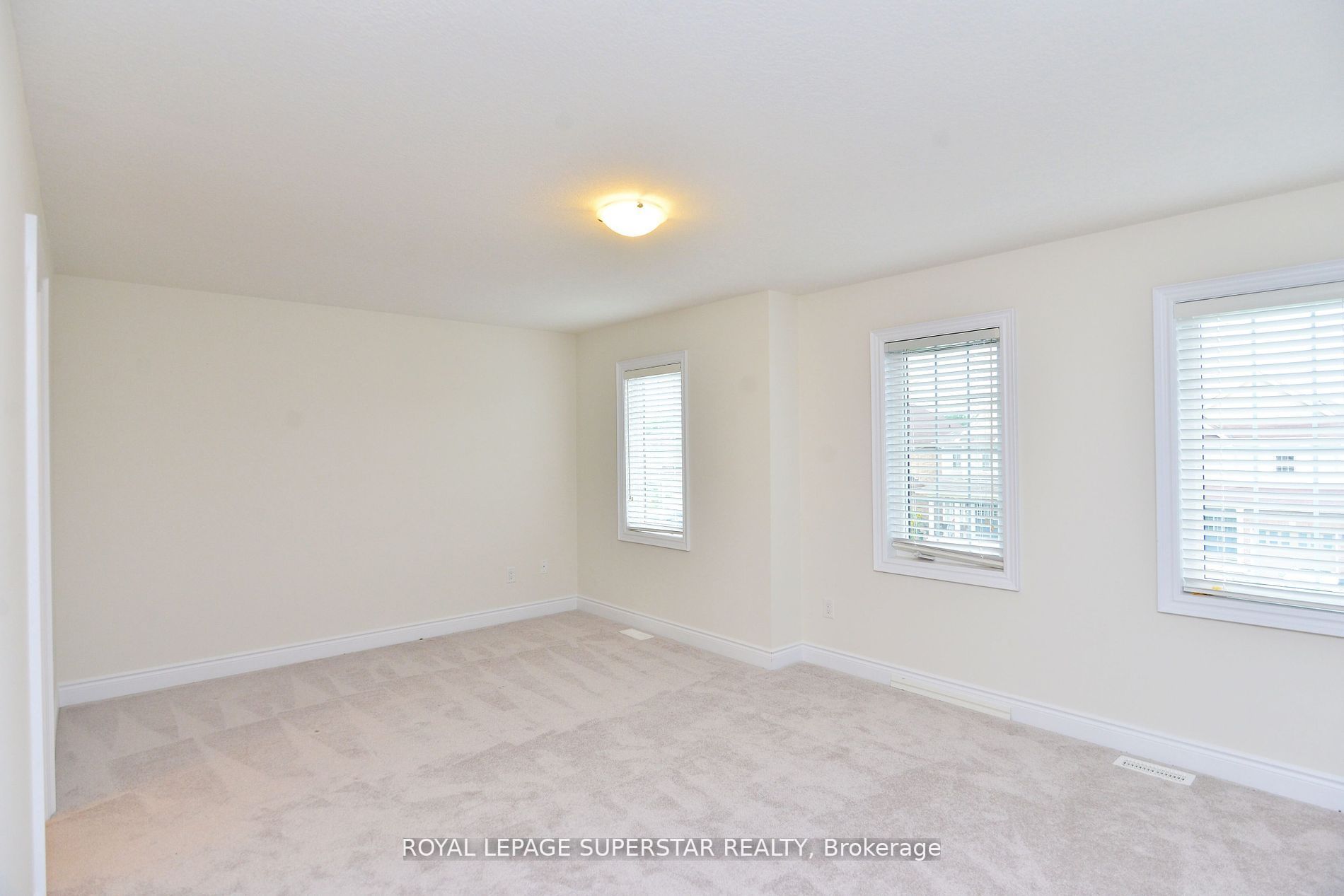 7724 Black Maple Drive Property Photo 17