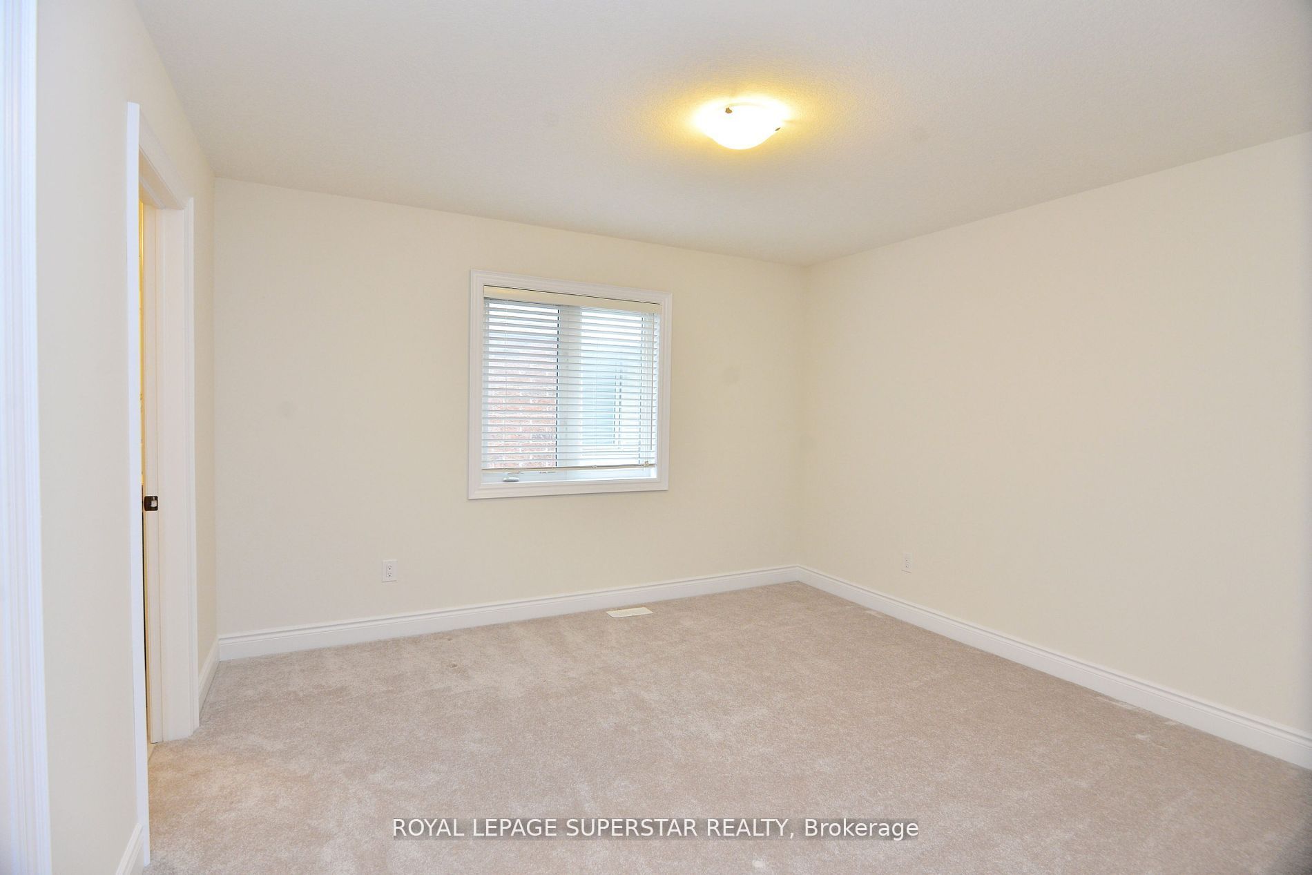 7724 Black Maple Drive Property Photo 27