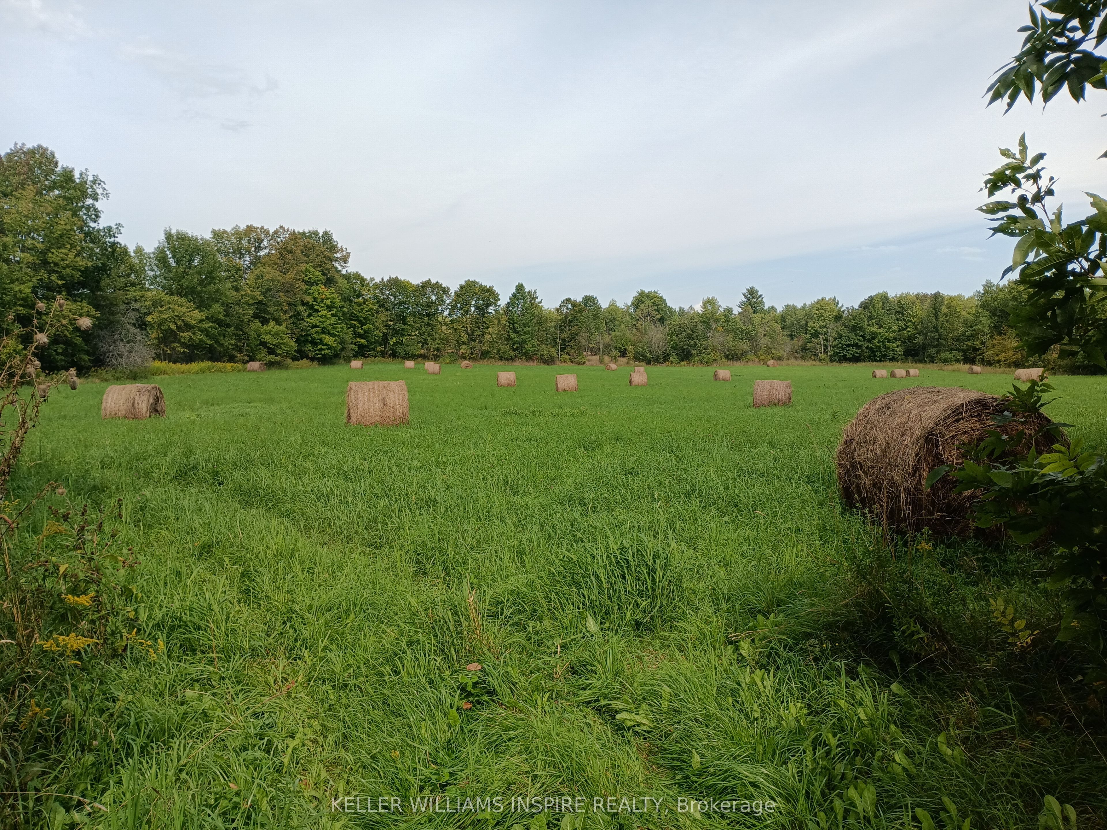 195 Prest Road Property Photo 38