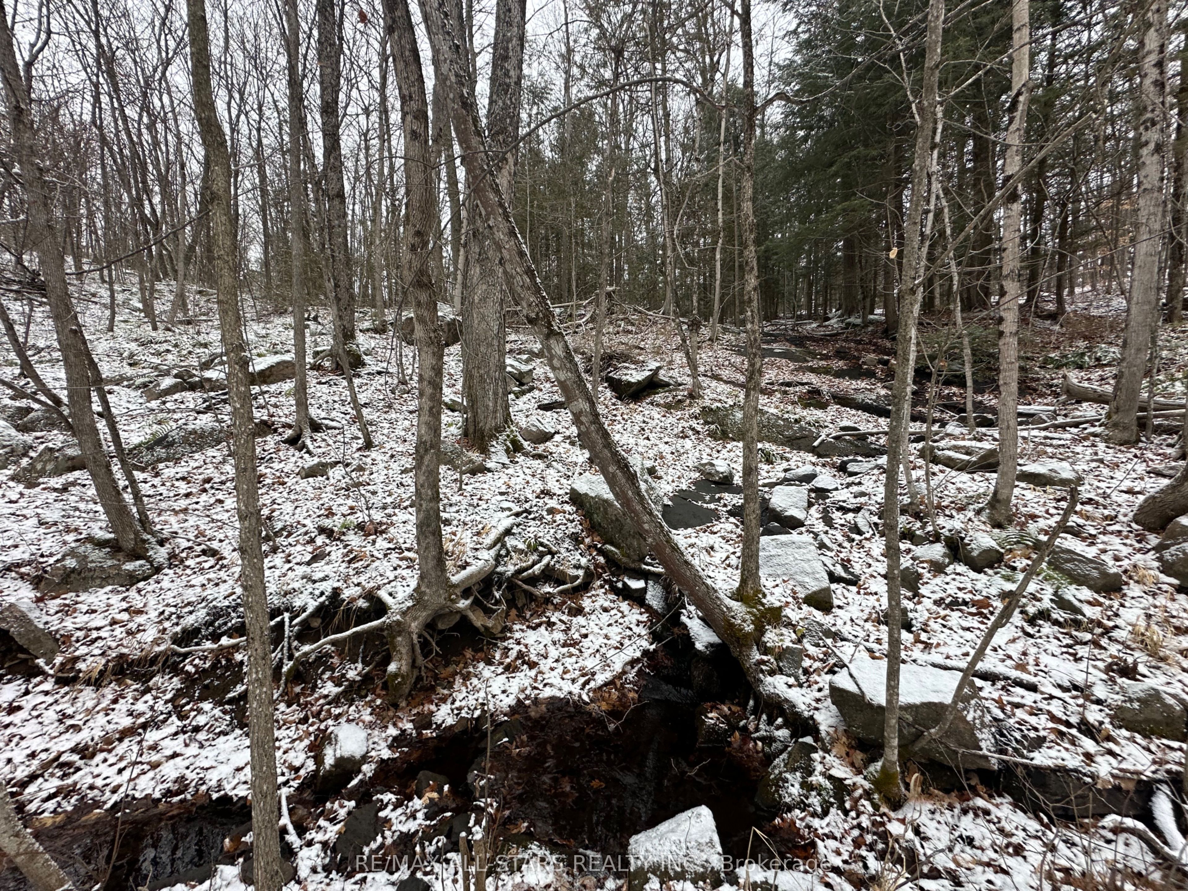 Lot 0 Fire Route 394 Property Photo 8