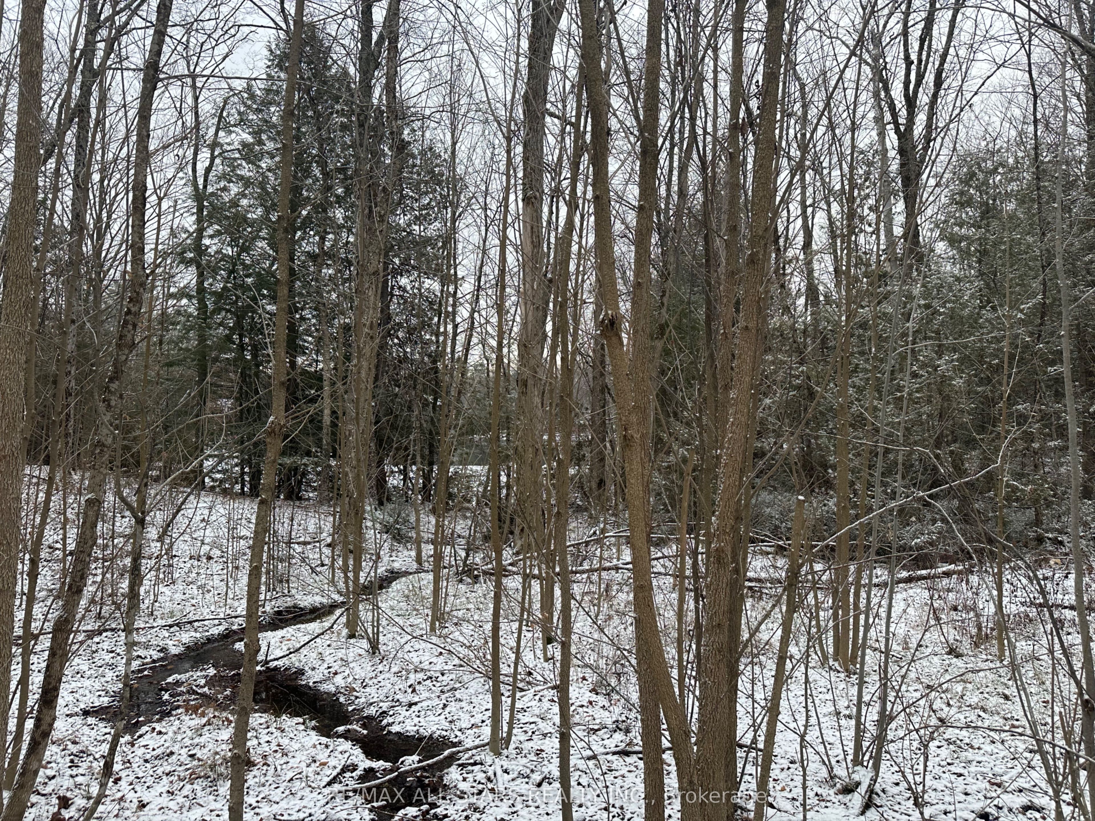 Lot 0 Fire Route 394 Property Photo 9