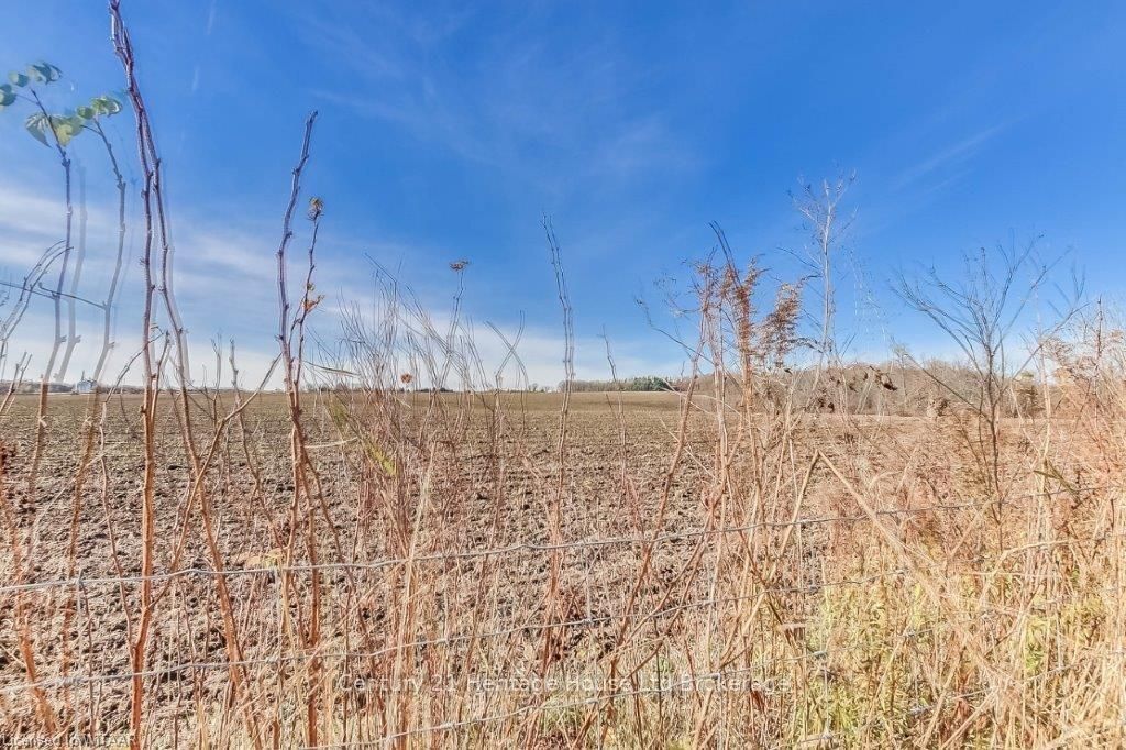 #21 Belsize Dr - 99 Fourth Concession Road Property Photo 21
