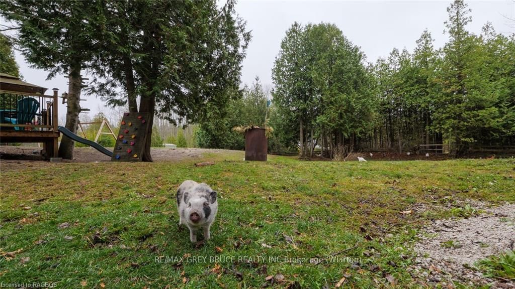 26 Mary Avenue Property Photo 29