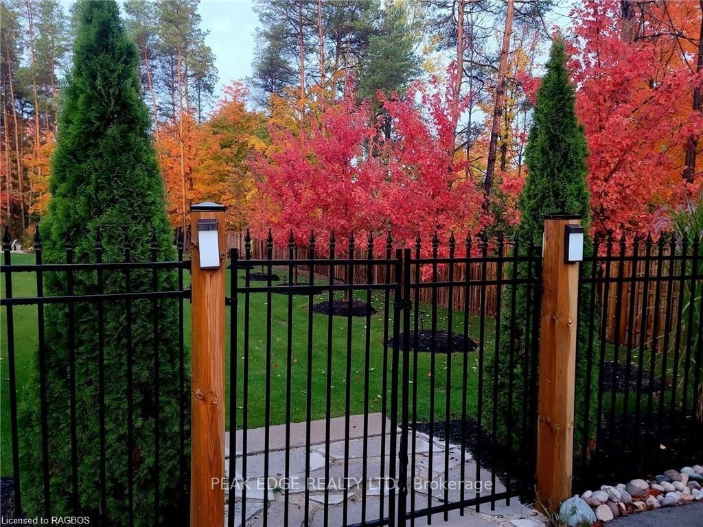 126 Forest Creek Trail Property Photo 39