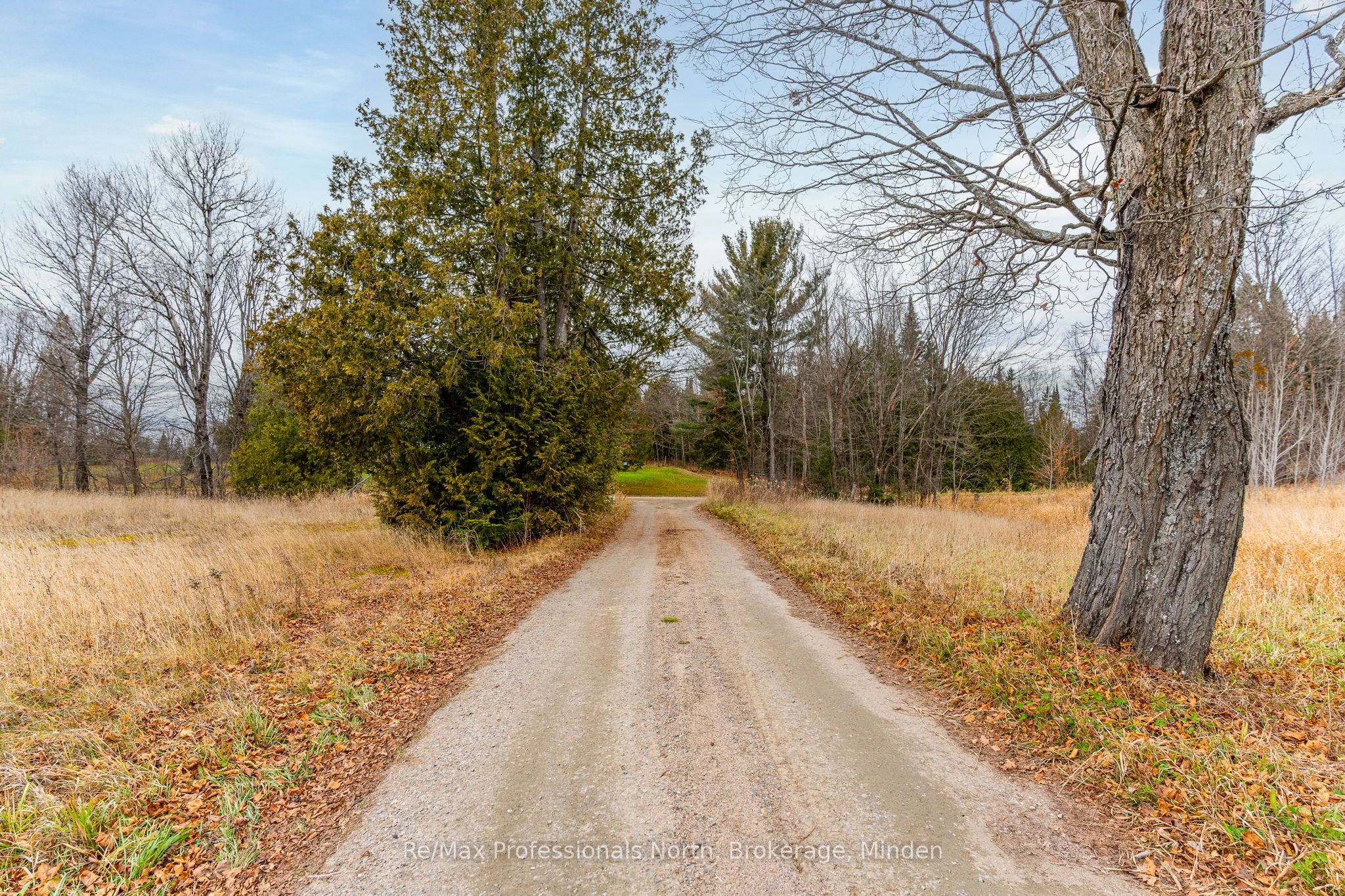 1047 Mccrea Road Property Photo 3