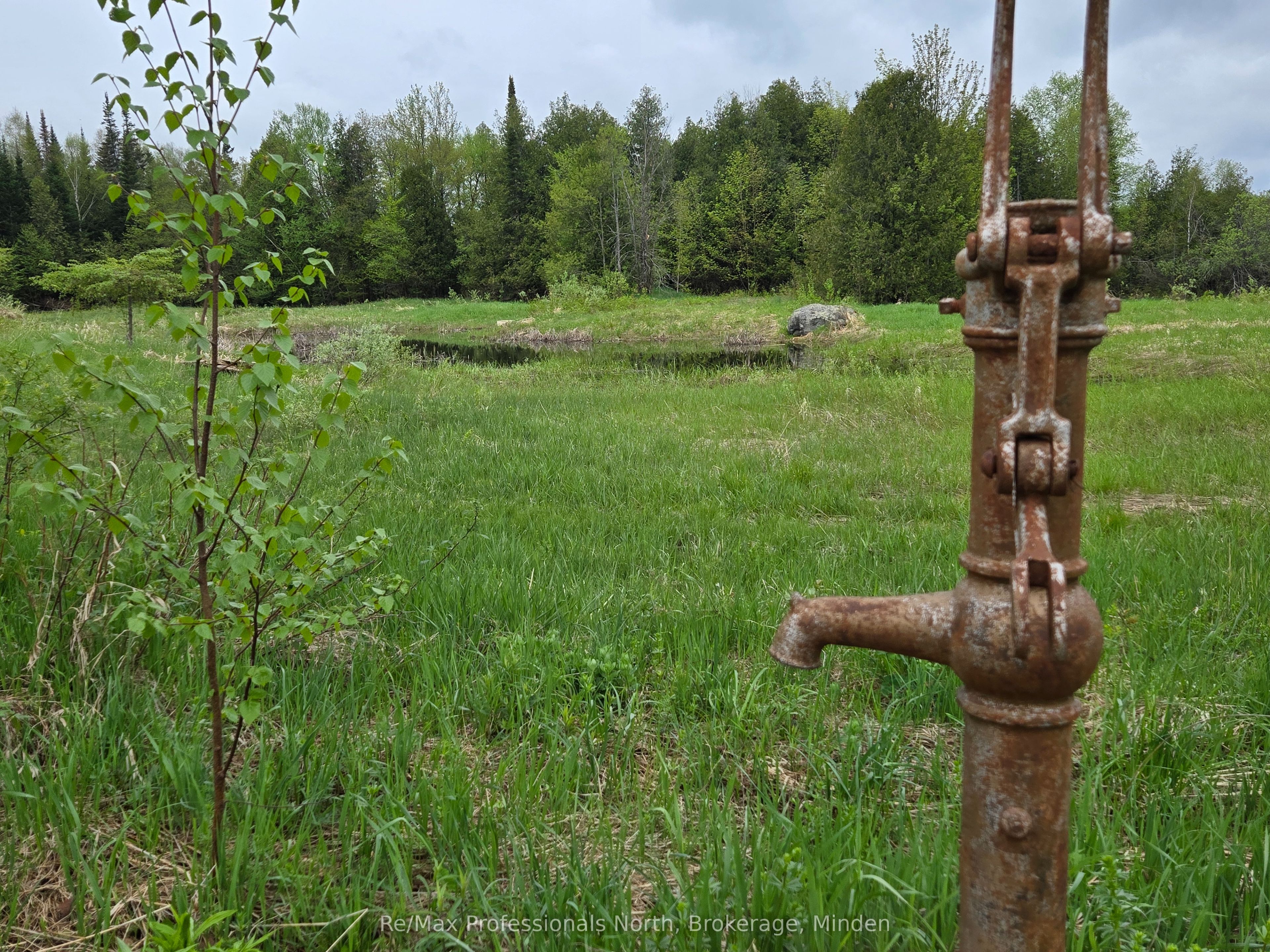 1047 Mccrea Road Property Photo 43