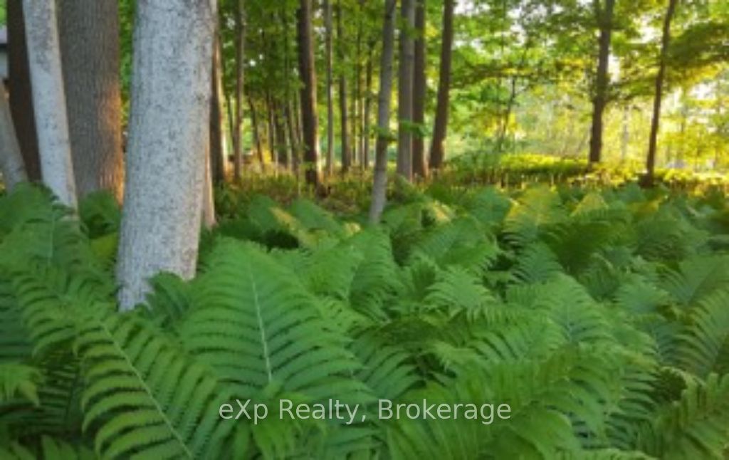 171 Ashgrove Lane Property Photo 36