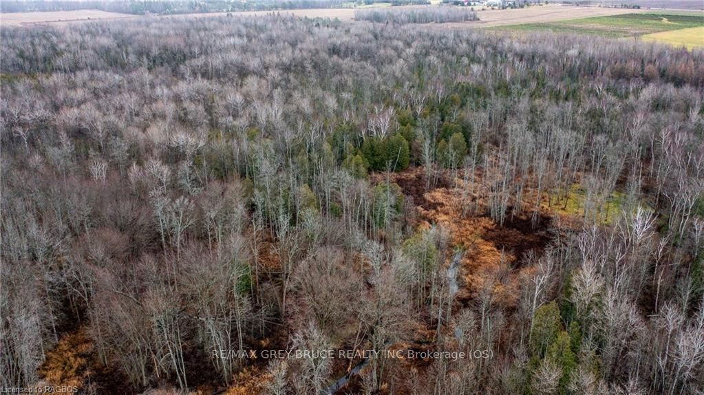 564 Municipal Road Property Photo 36