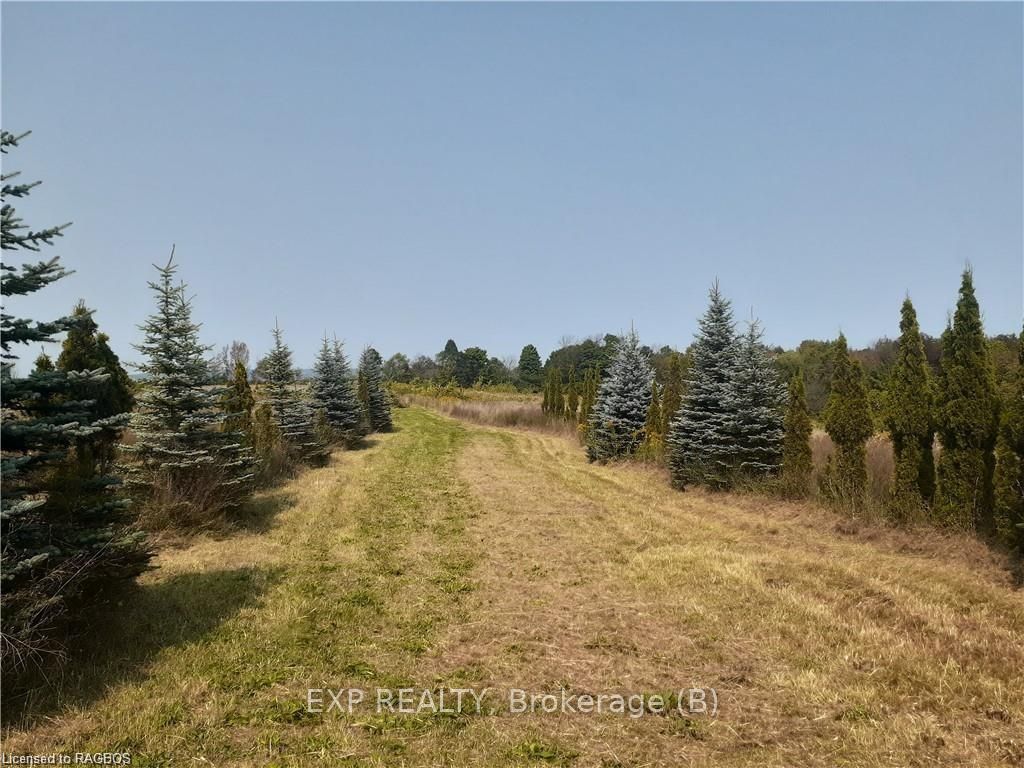 85621 Sideroad 7 Property Photo 33
