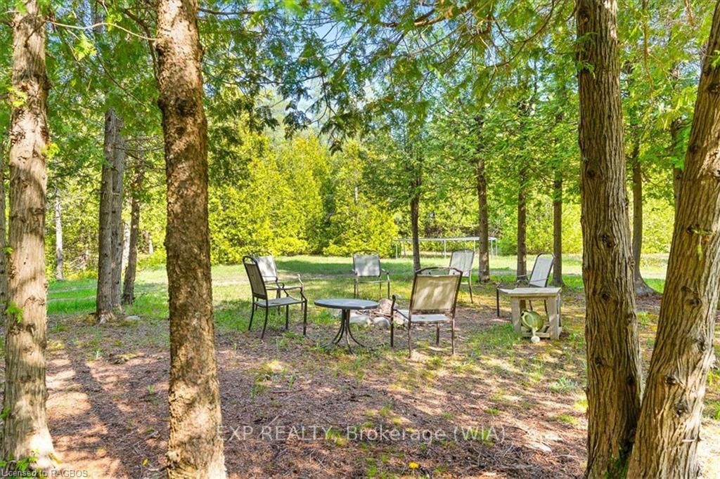 55 Forbes Road Property Photo 34