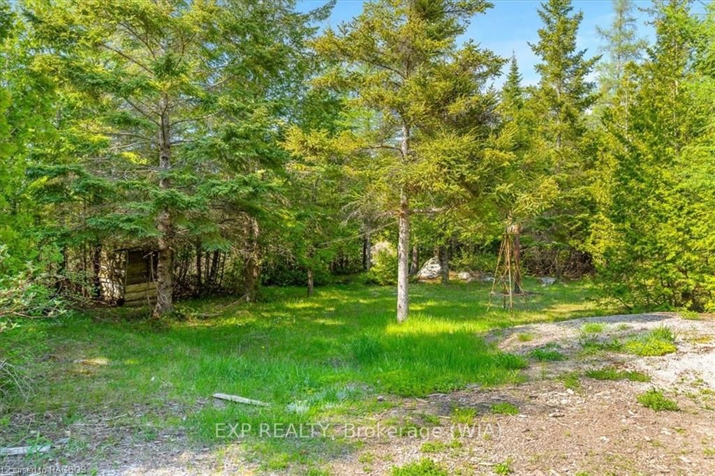 55 Forbes Road Property Photo 43
