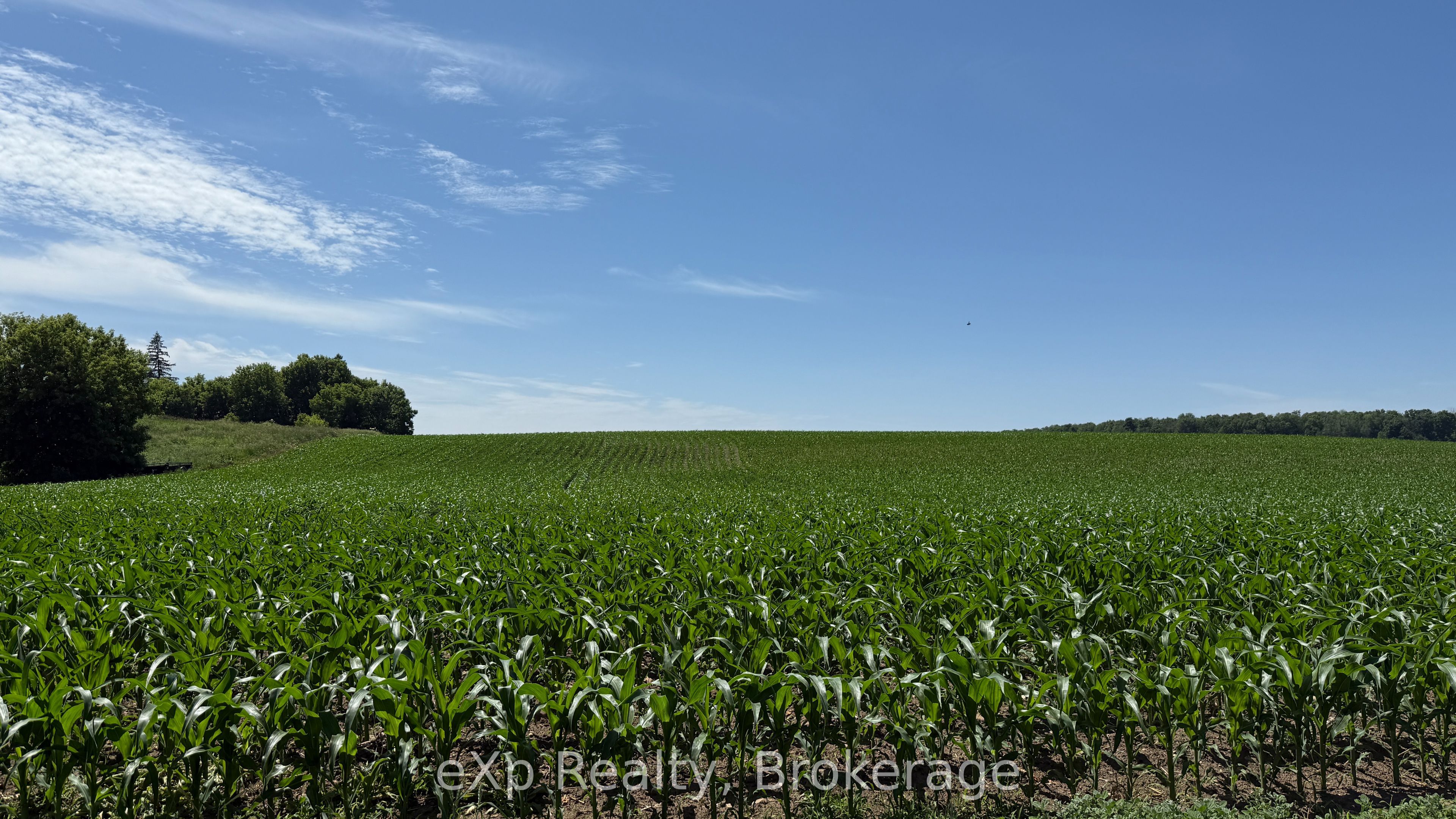 Pt Lt 24 Concession A N/a Property Photo 3