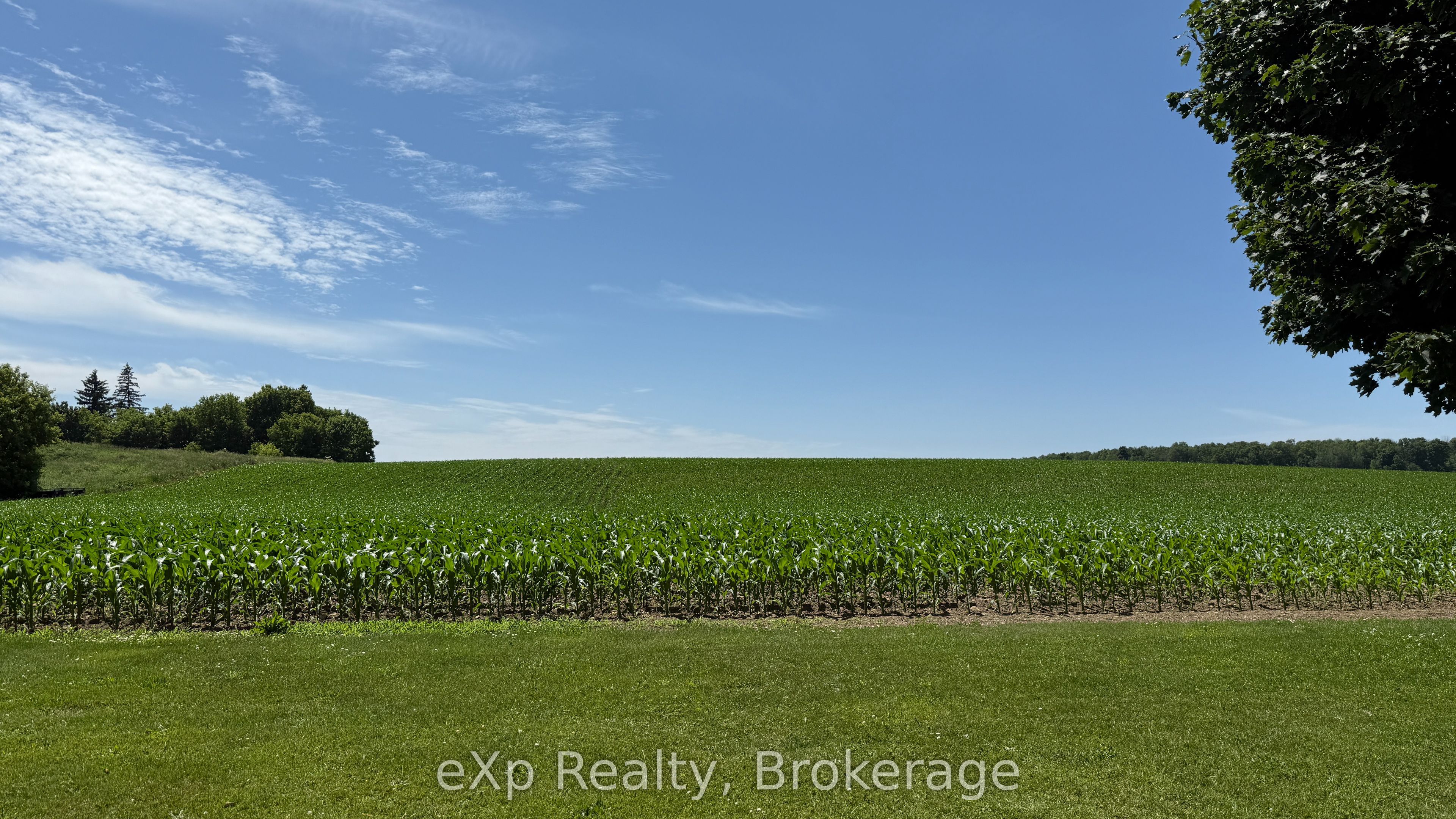 Pt Lt 24 Concession A N/a Property Photo 4