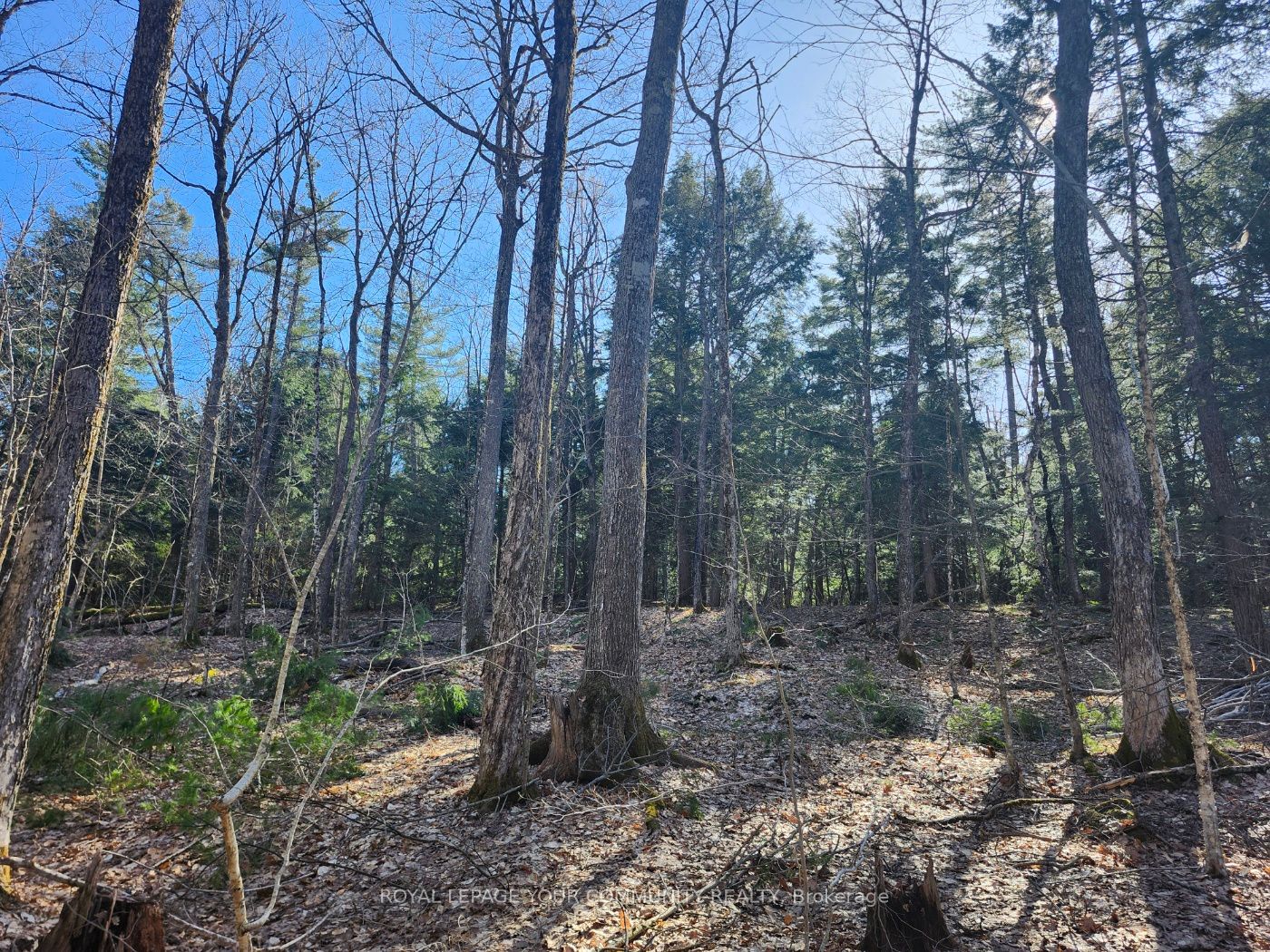 1282 Highway 118 Road Property Photo 2