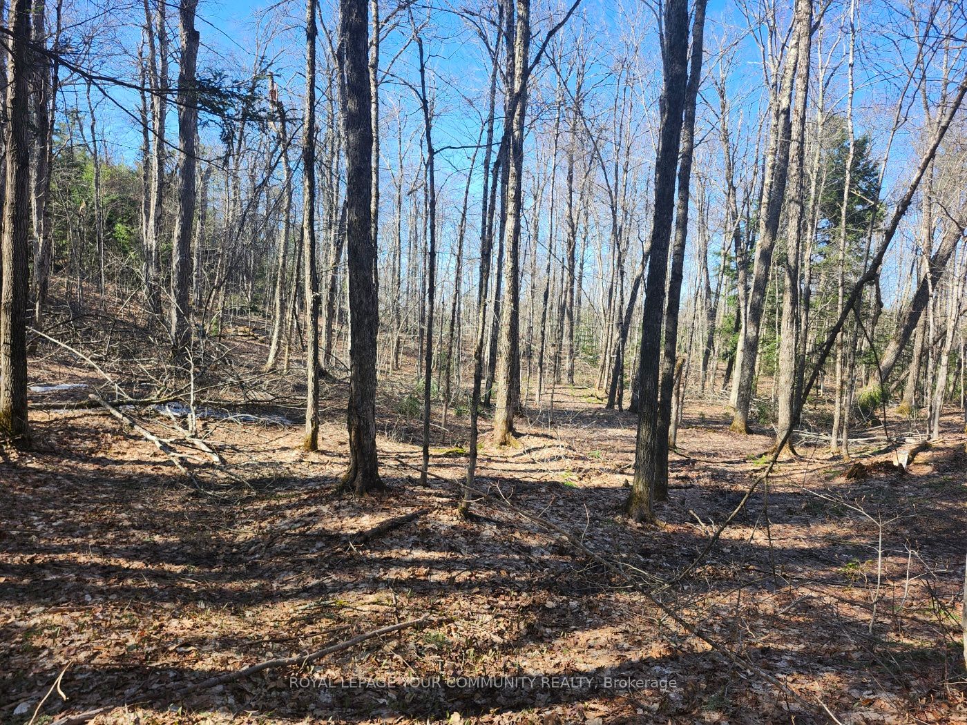 1282 Highway 118 Road Property Photo 3