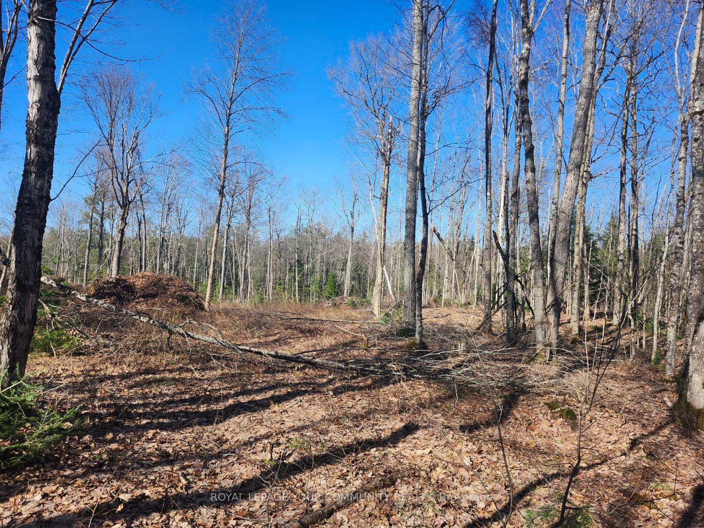 1282 Highway 118 Road Property Photo 4