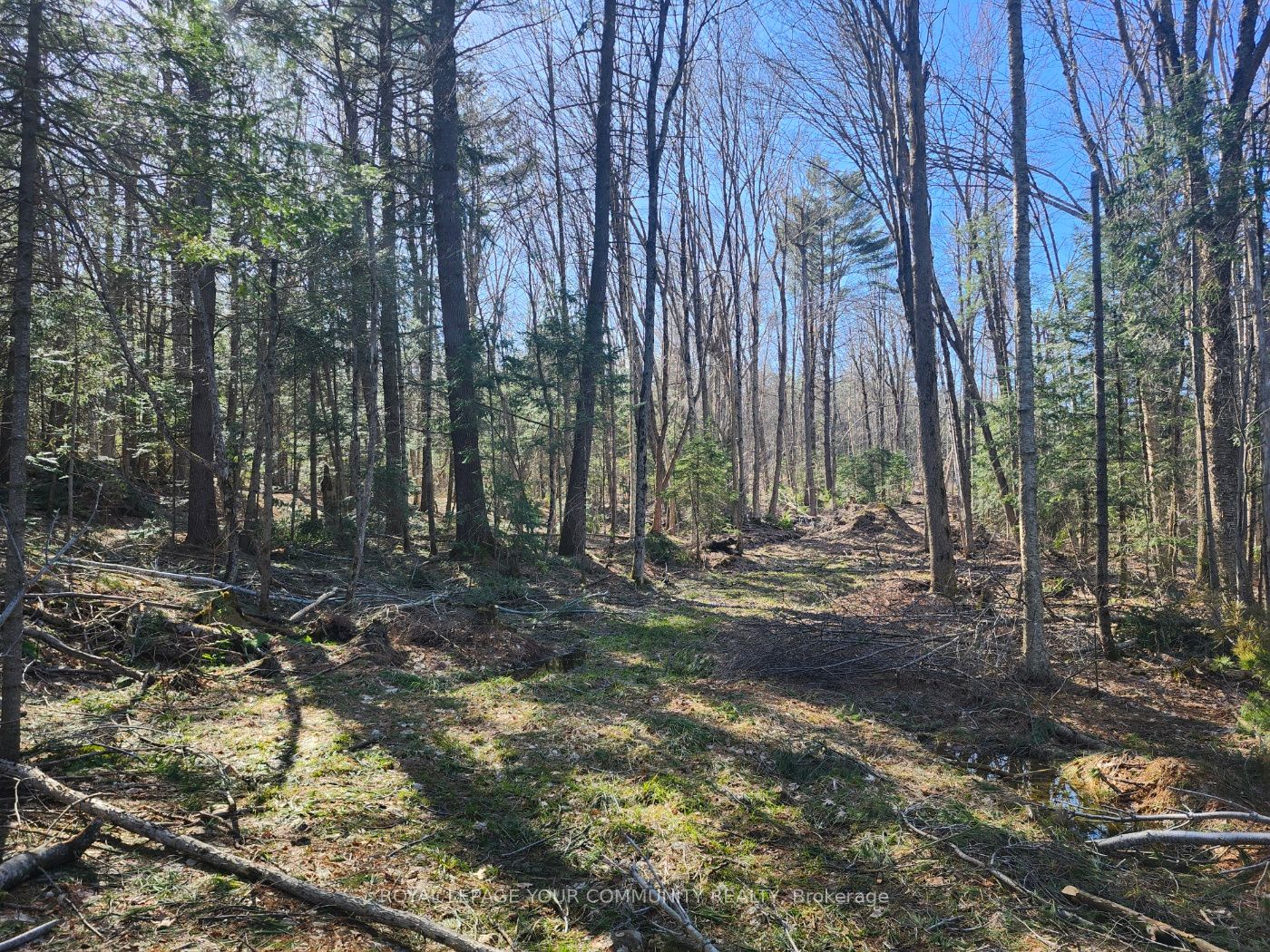 1282 Highway 118 Road Property Photo 6