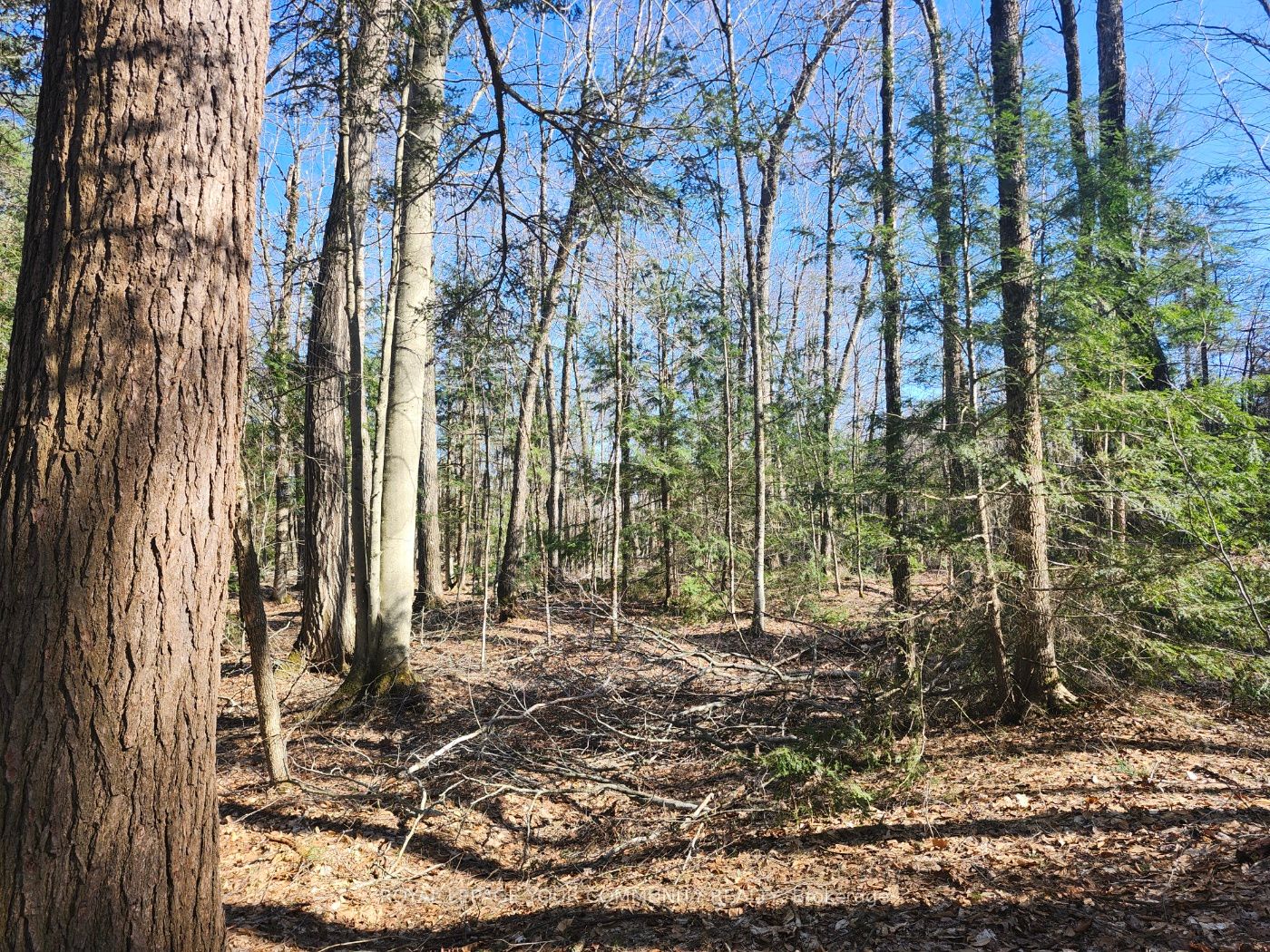 1282 Highway 118 Road Property Photo 7