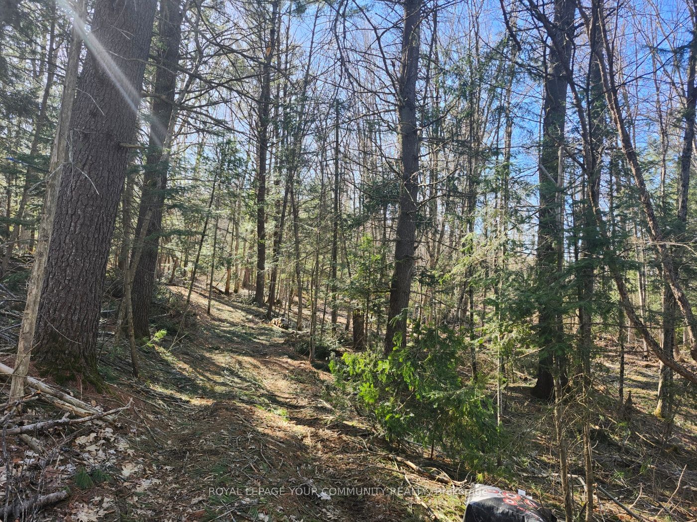 1282 Highway 118 Road Property Photo 8