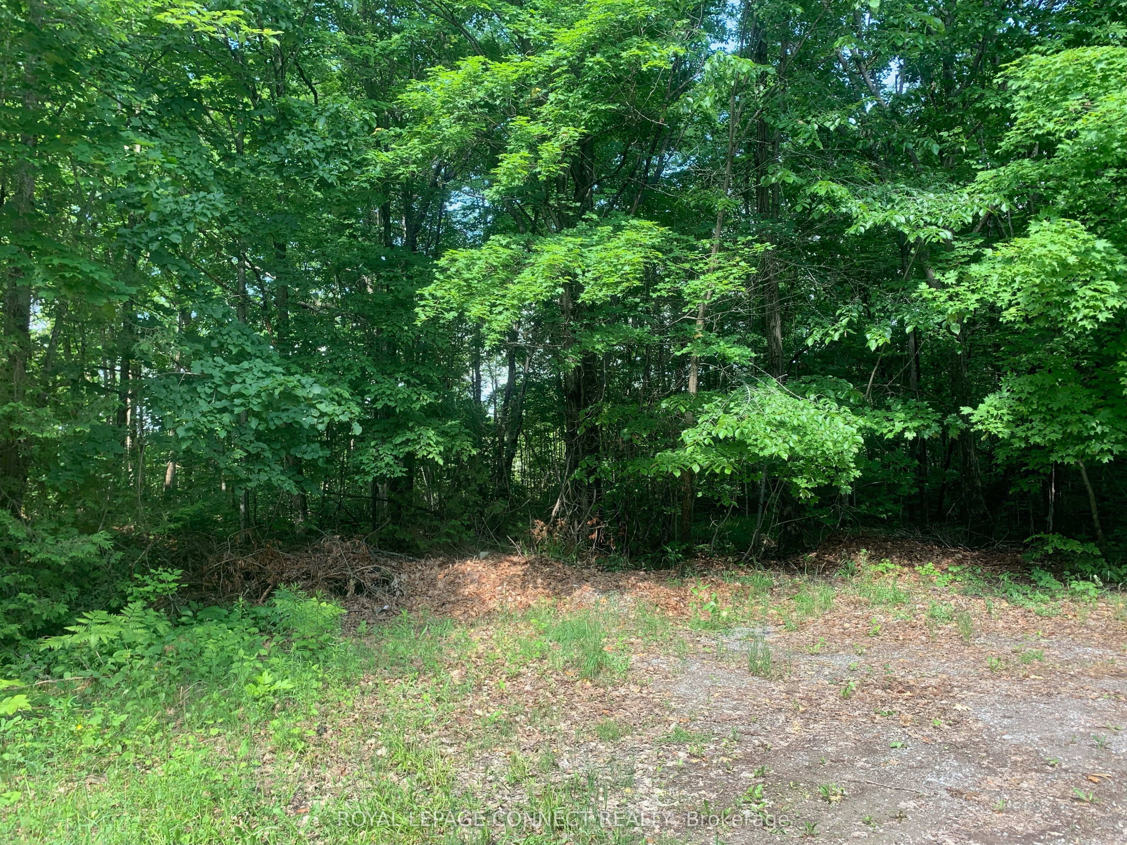 00 Clareview Road Property Photo 12