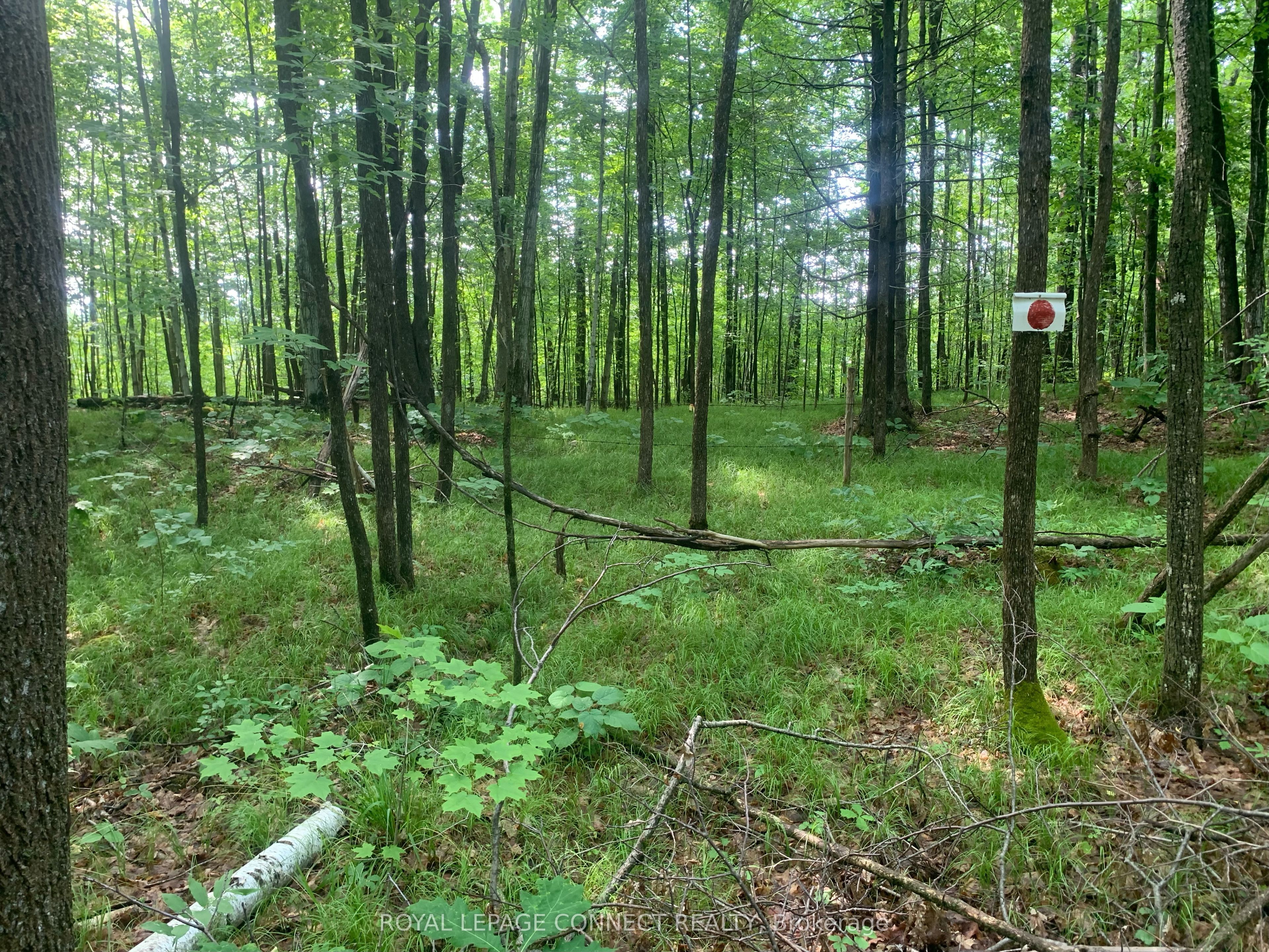 00 Clareview Road Property Photo 18