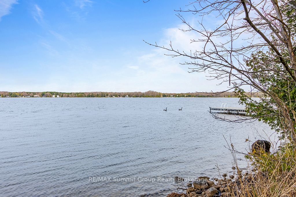 202 Lakeshore Boulevard Property Photo 5