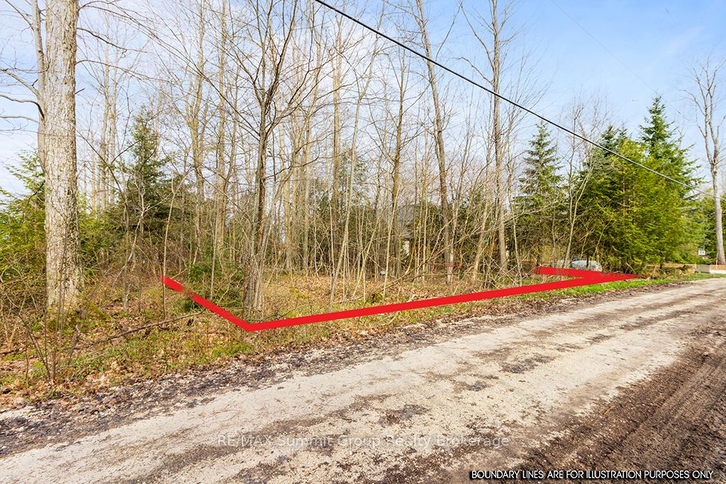 202 Lakeshore Boulevard Property Photo 9