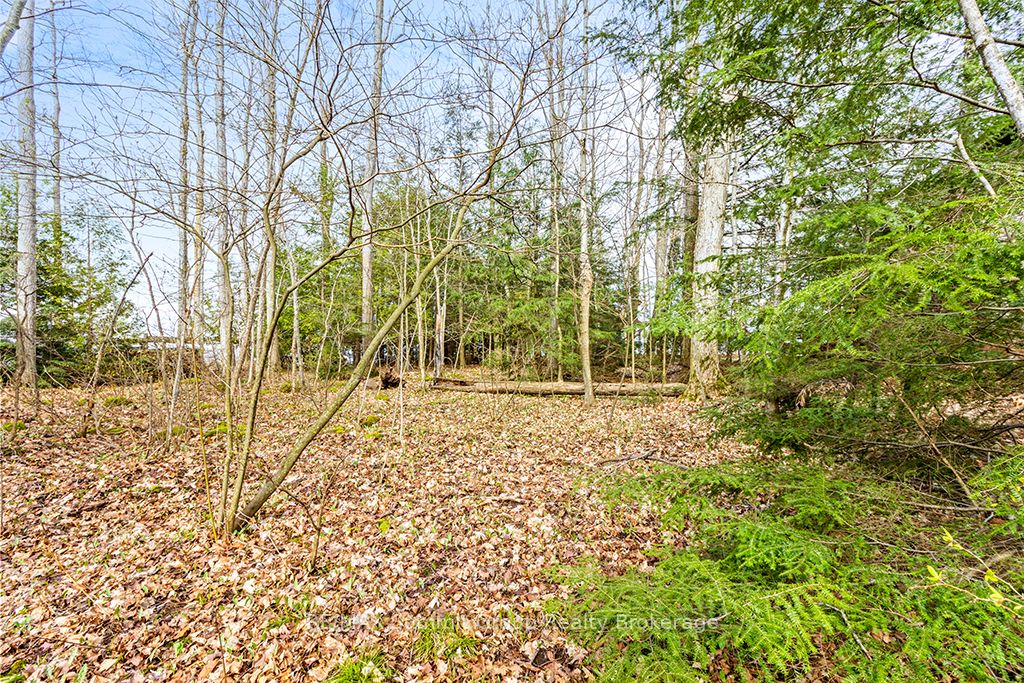 202 Lakeshore Boulevard Property Photo 13