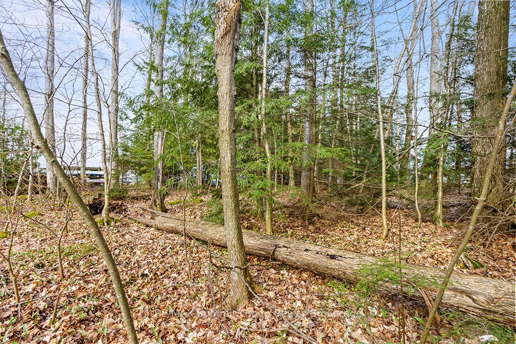 202 Lakeshore Boulevard Property Photo 14