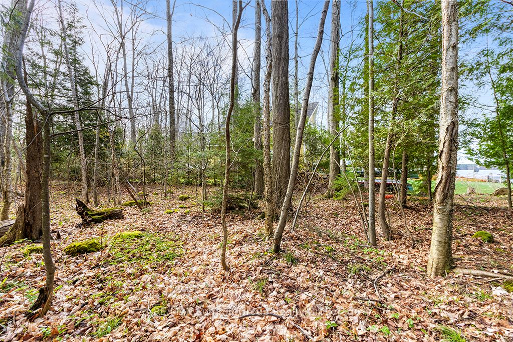 202 Lakeshore Boulevard Property Photo 16