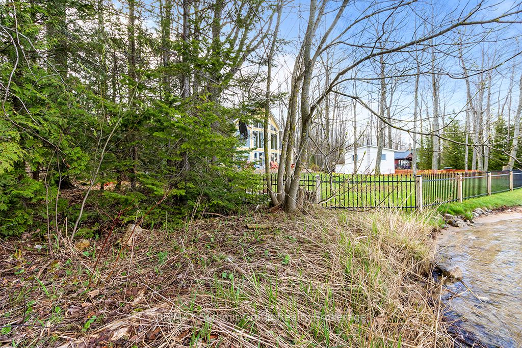 202 Lakeshore Boulevard Property Photo 17