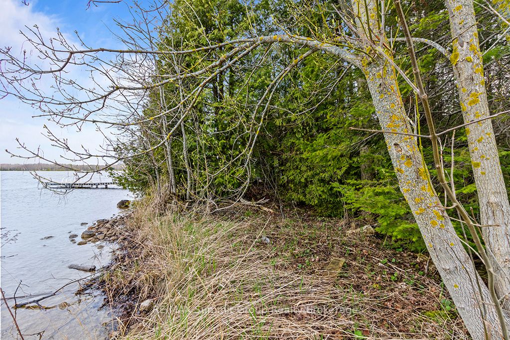 202 Lakeshore Boulevard Property Photo 18