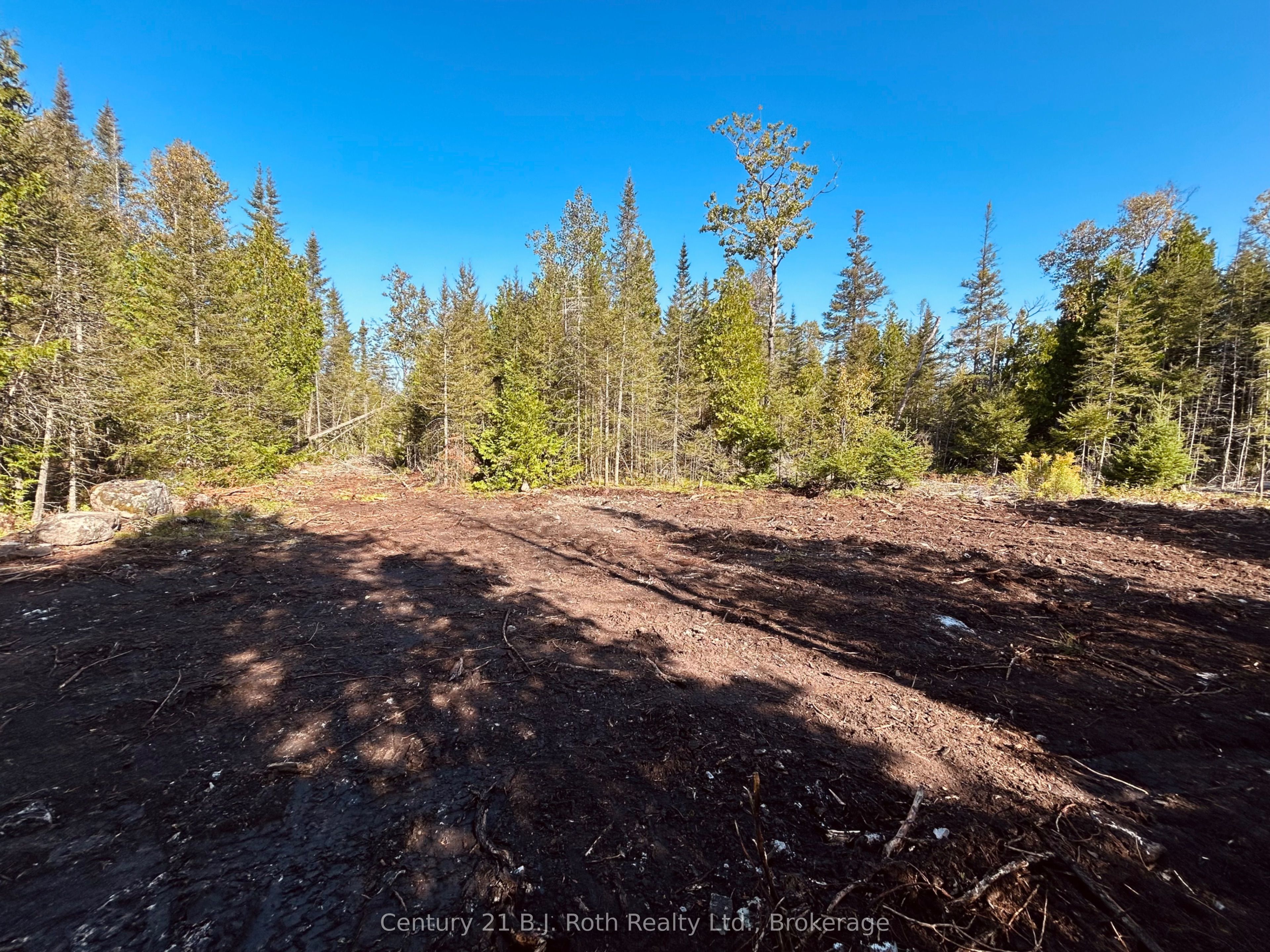 155 Bradley Drive Property Photo 4