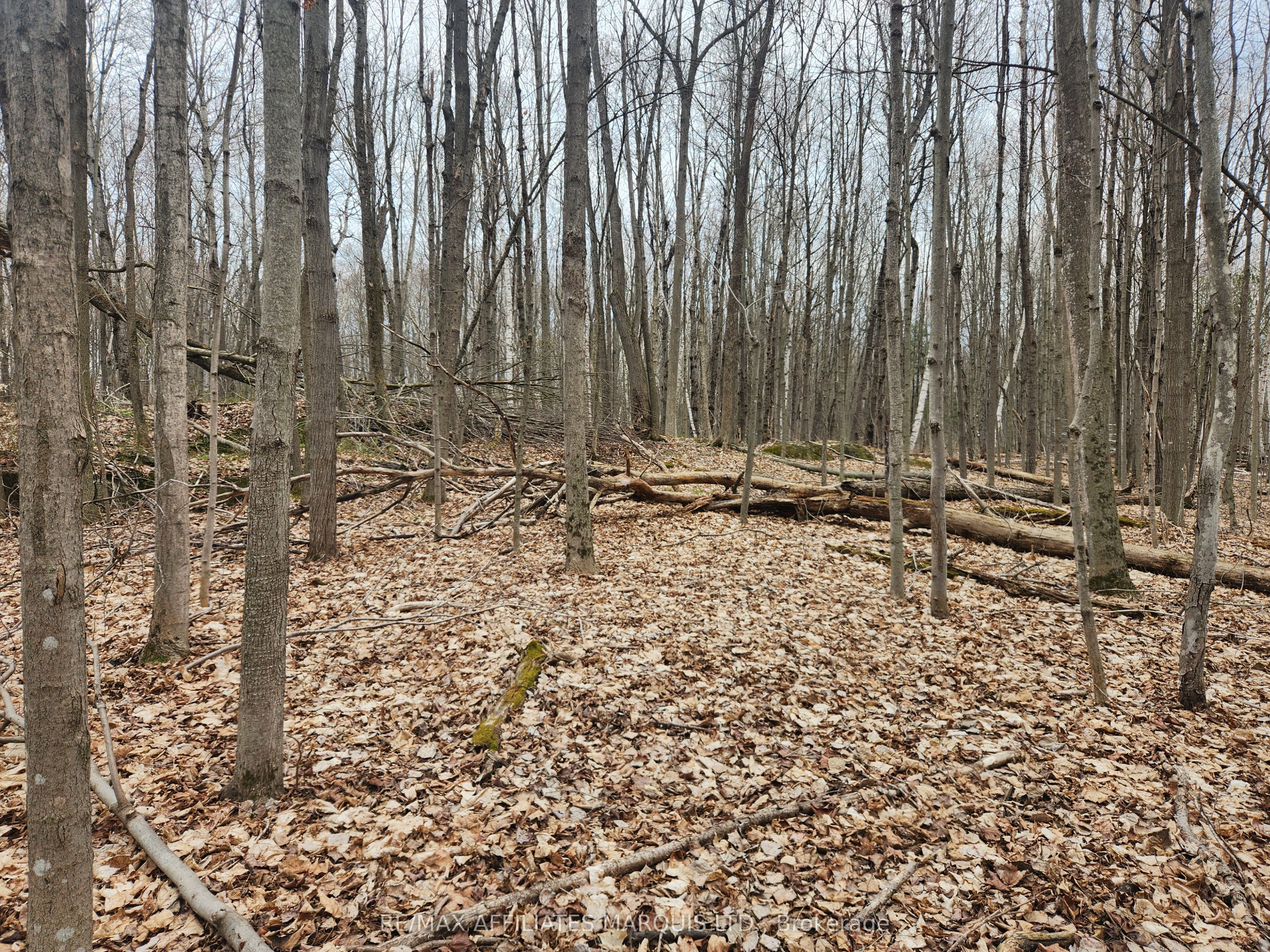 Lot Cedar Sands Rdwy Way Property Photo