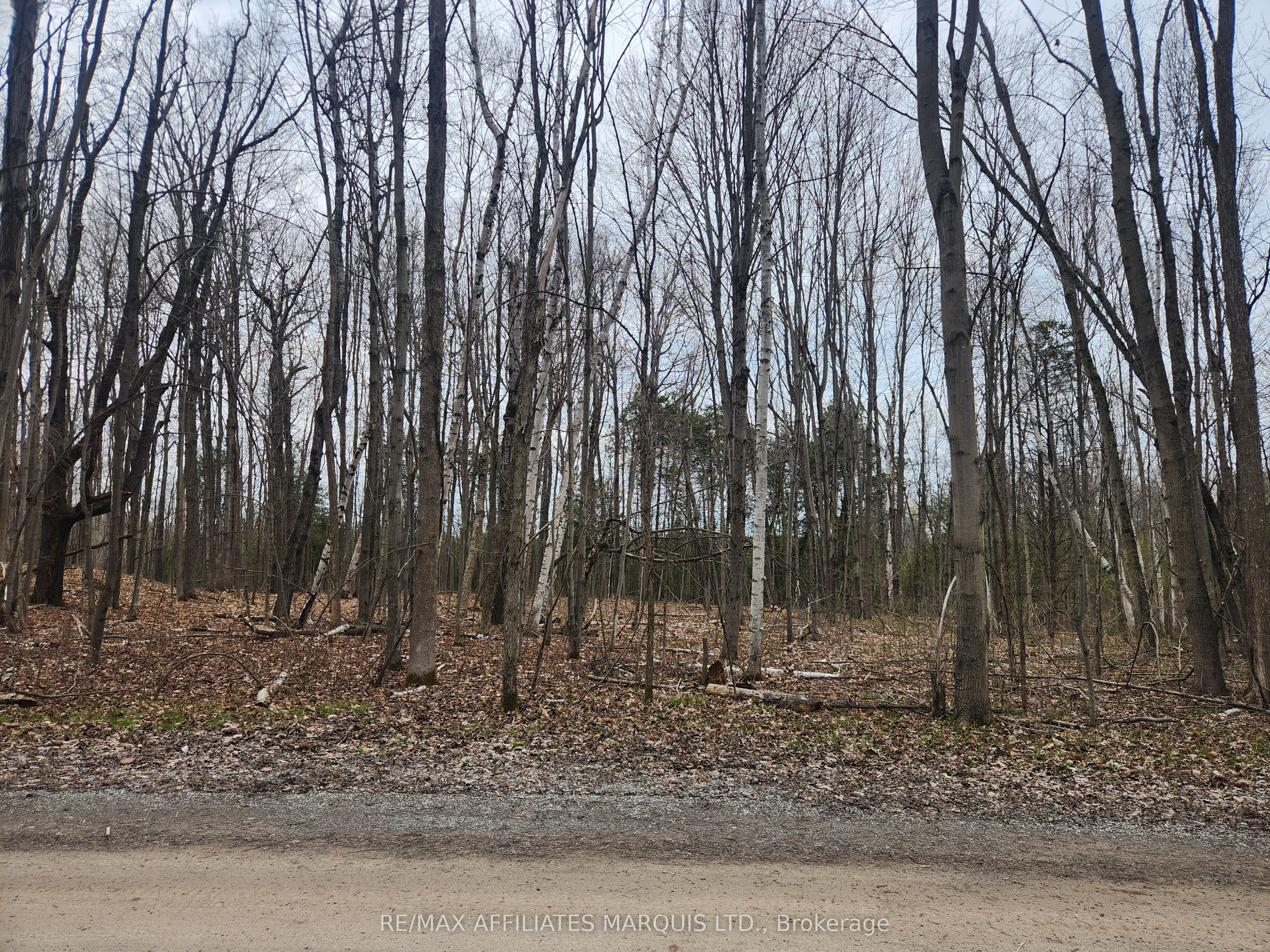 Lot Cedar Sands Rdwy Way Property Photo 2