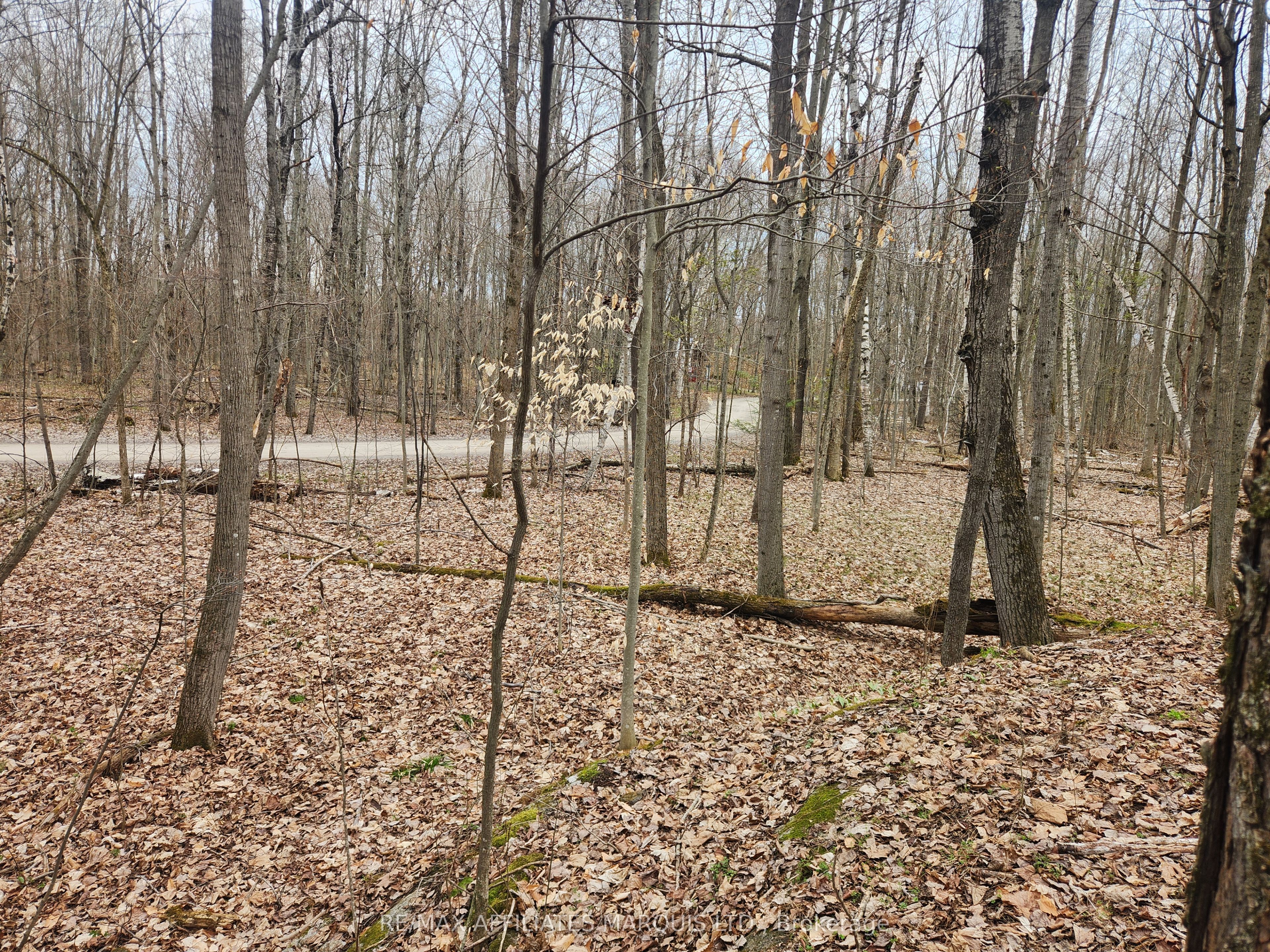 Lot Cedar Sands Rdwy Way Property Photo 3