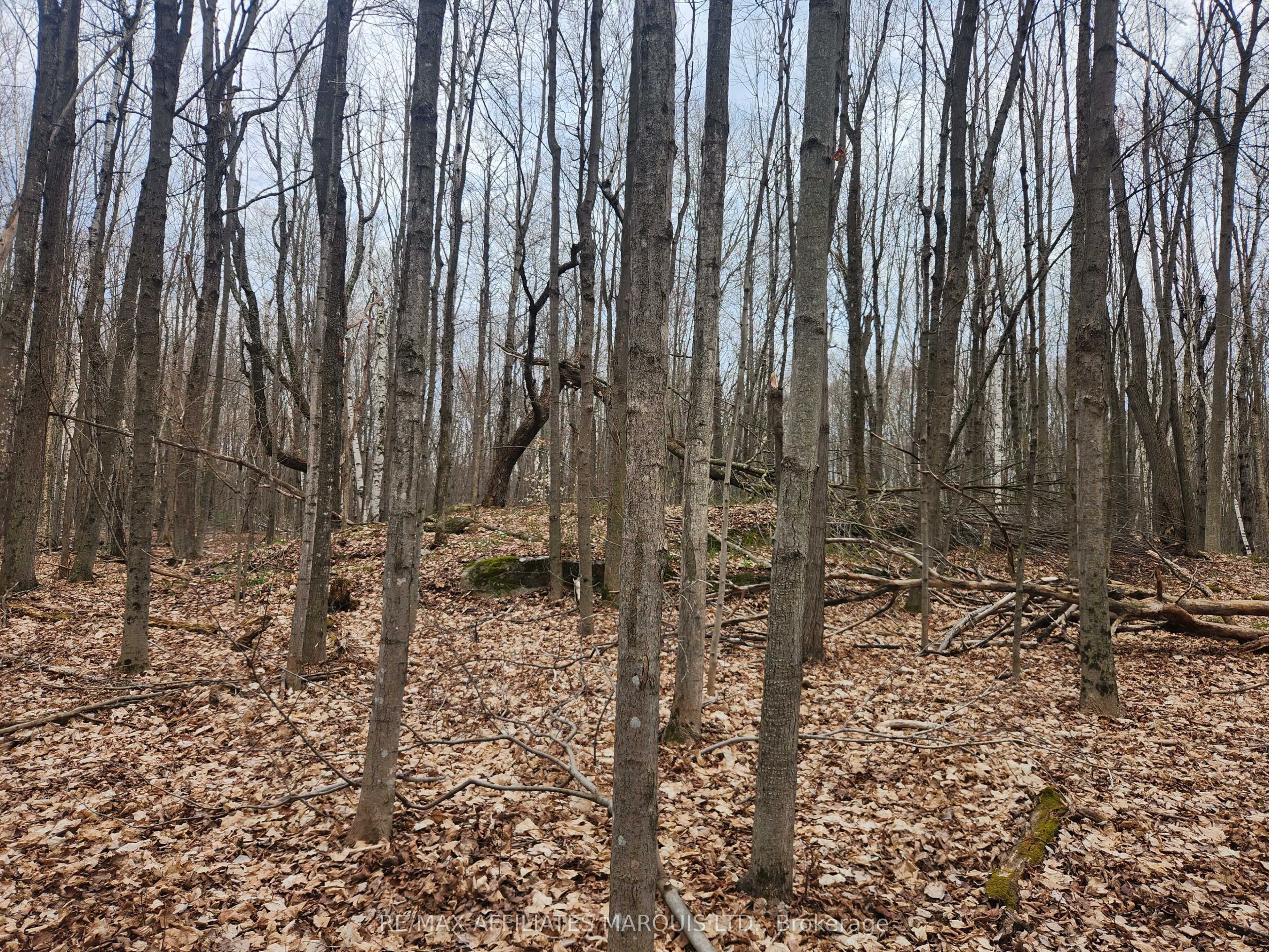 Lot Cedar Sands Rdwy Way Property Photo 4