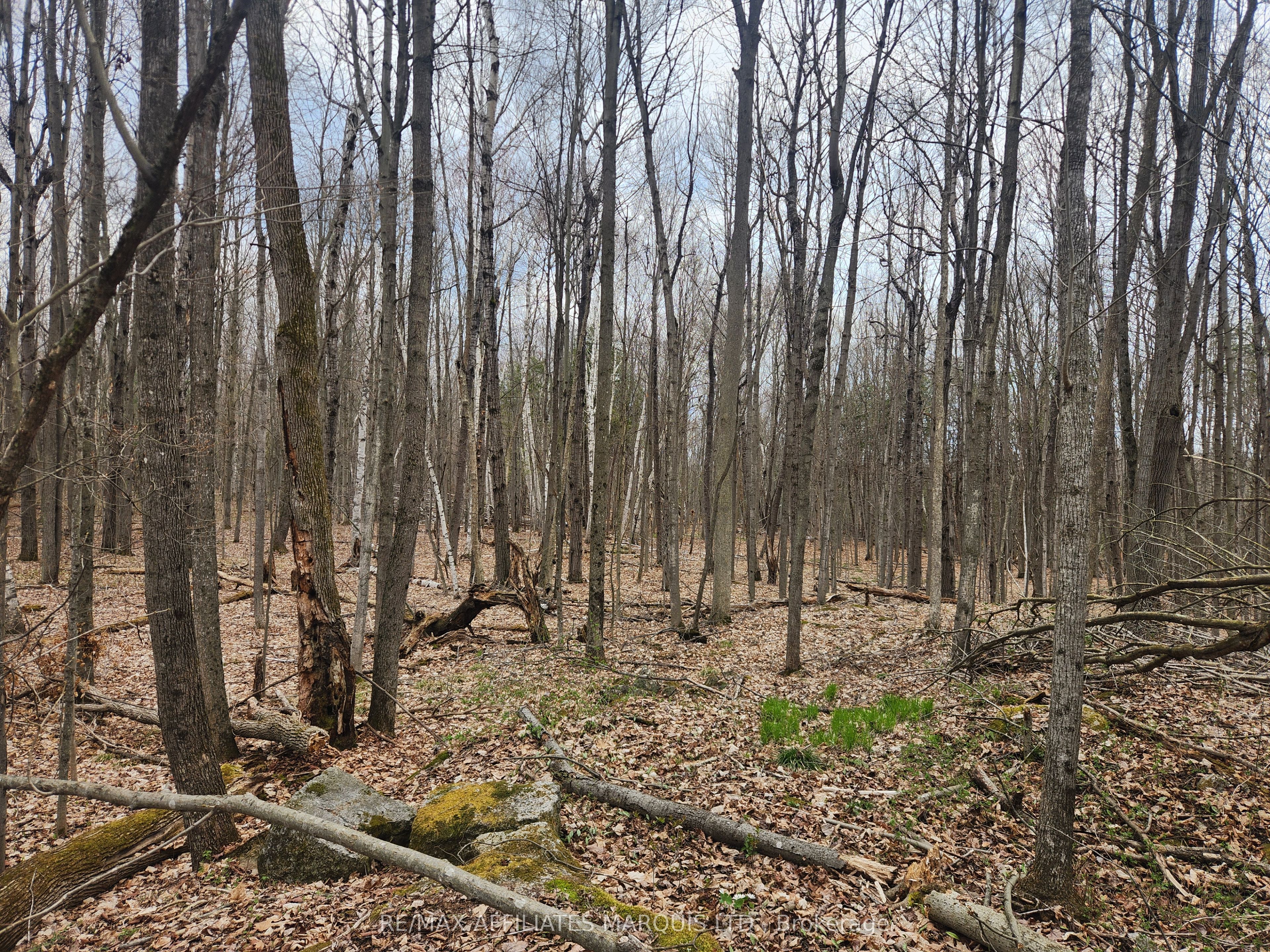 Lot Cedar Sands Rdwy Way Property Photo 13