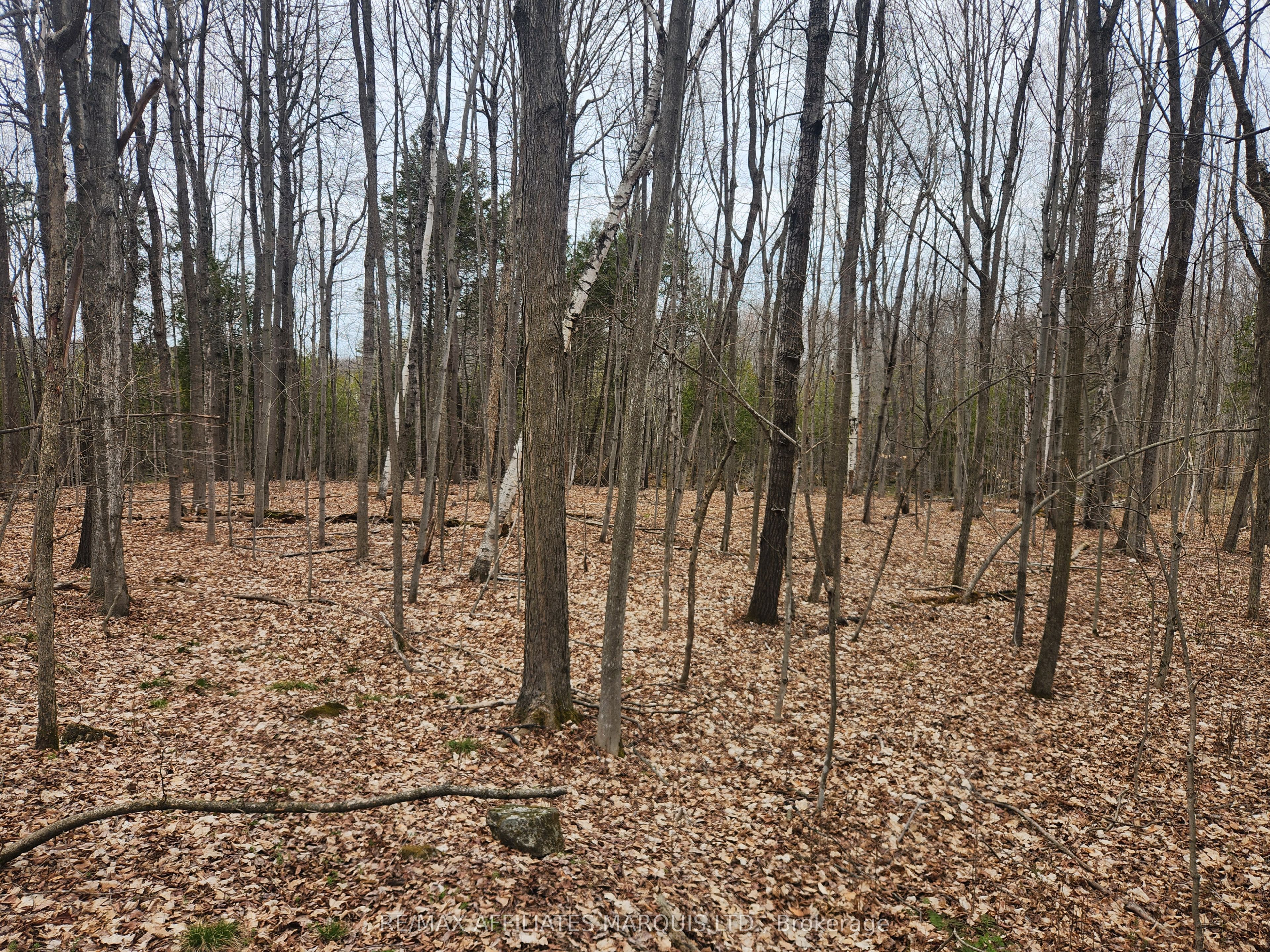 Lot Cedar Sands Rdwy Way Property Photo 14