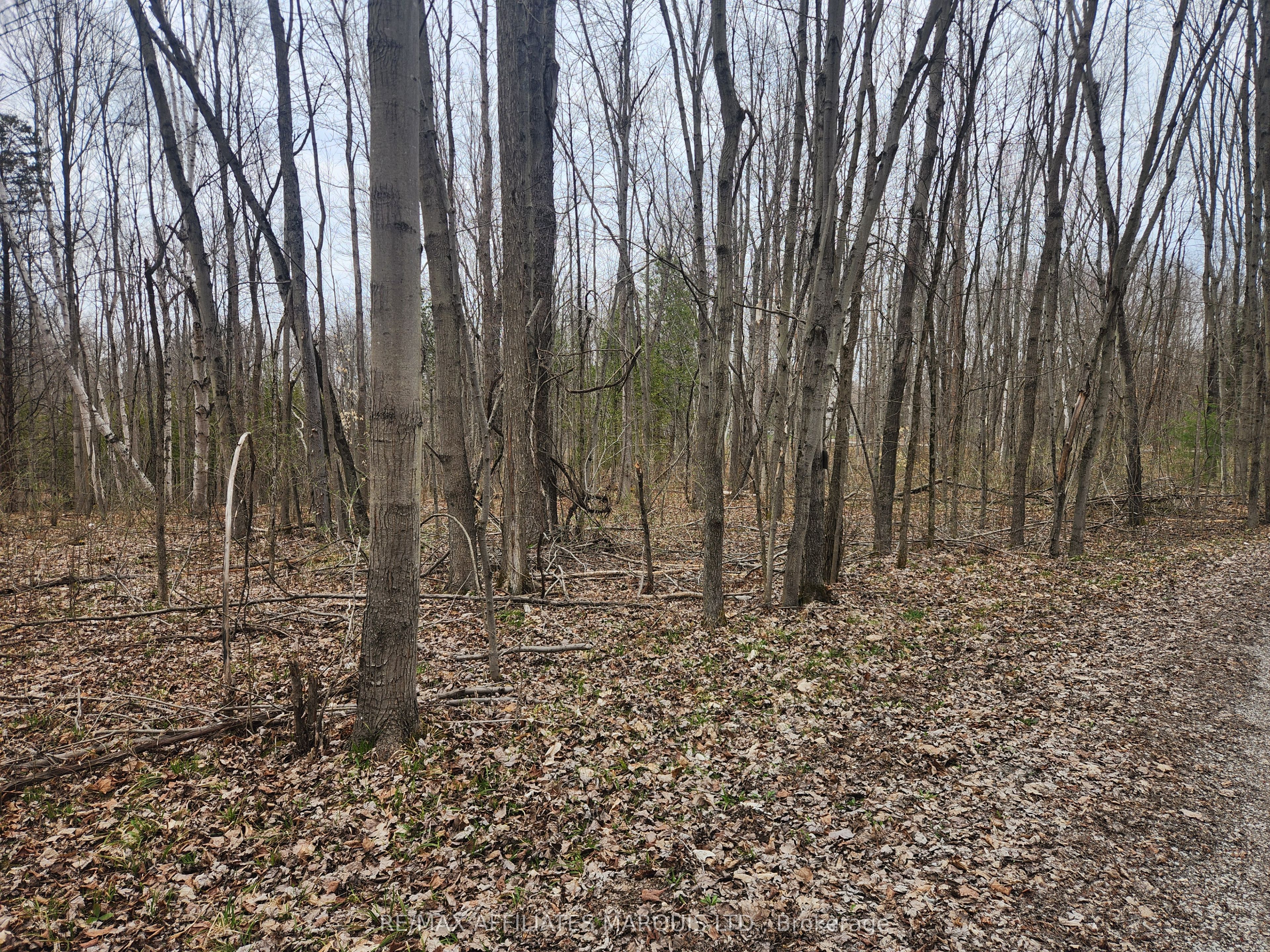 Lot Cedar Sands Rdwy Way Property Photo 16